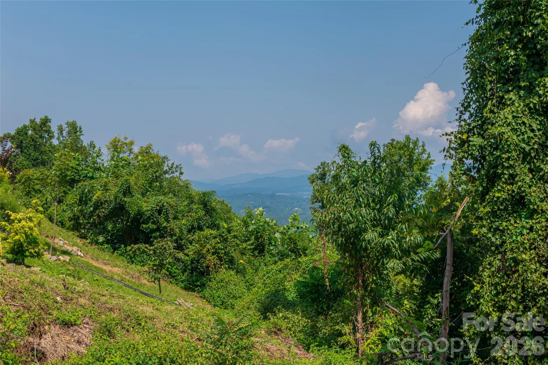 44 Longstreet Court #5 - Photo 8