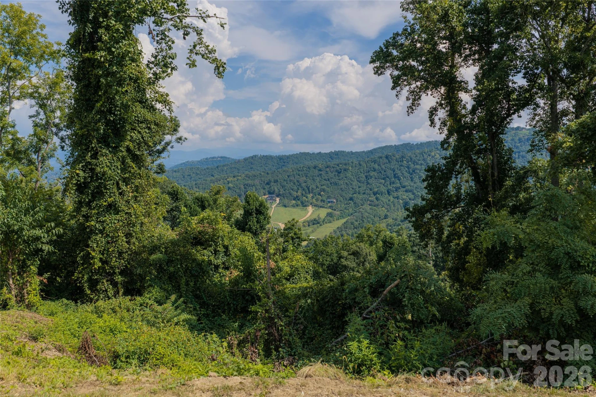 44 Longstreet Court #5 - Photo 9