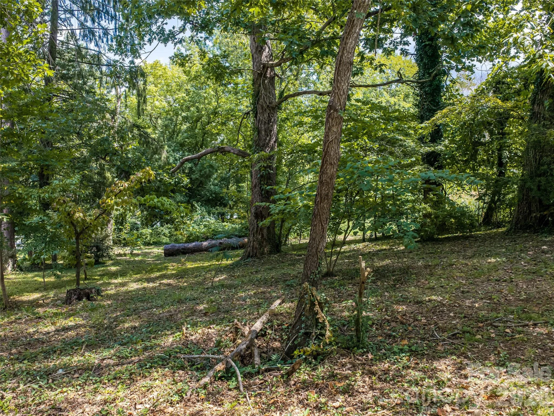 145 Kenilworth Road - Photo 9
