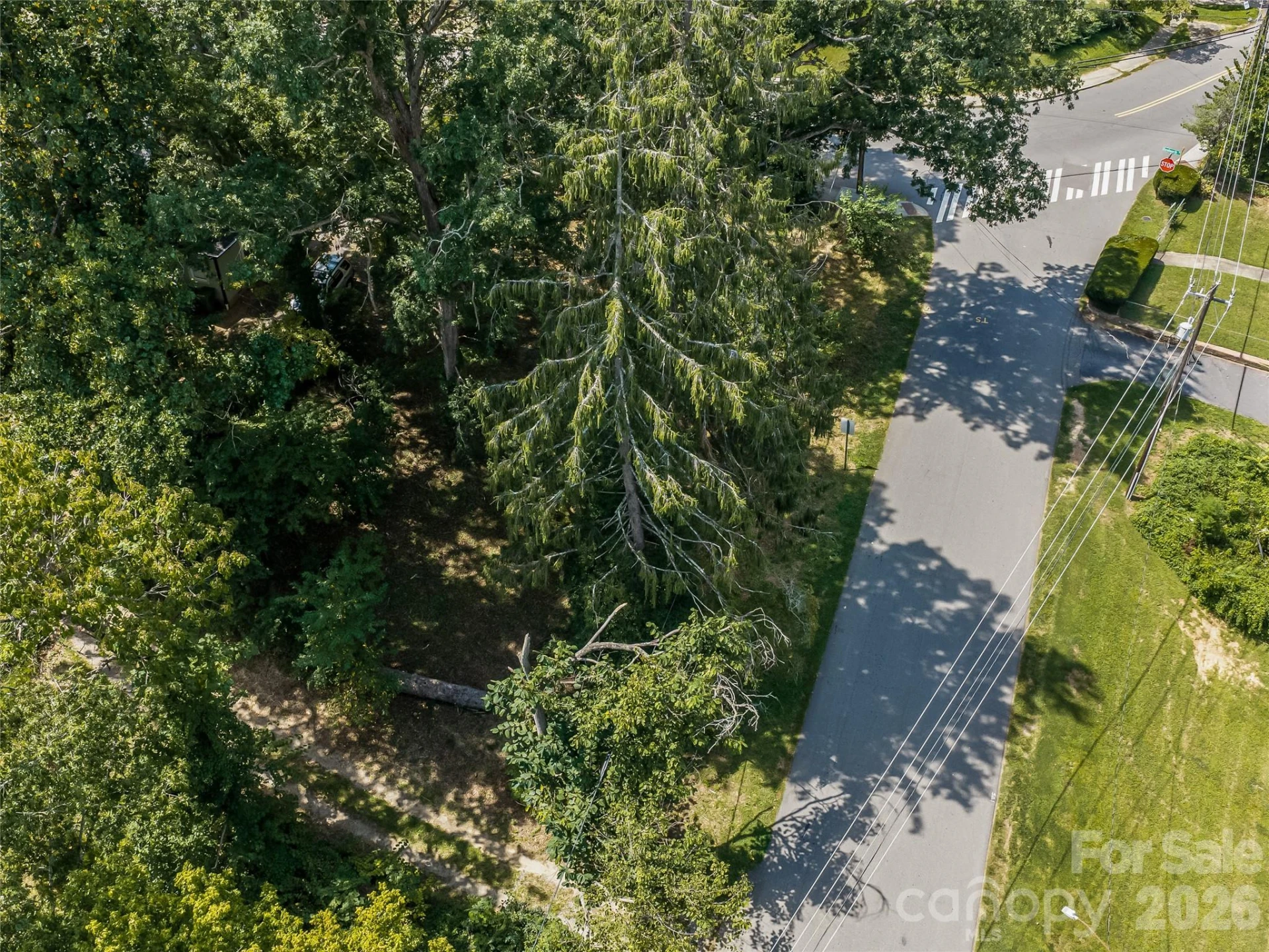 145 Kenilworth Road - Photo 13