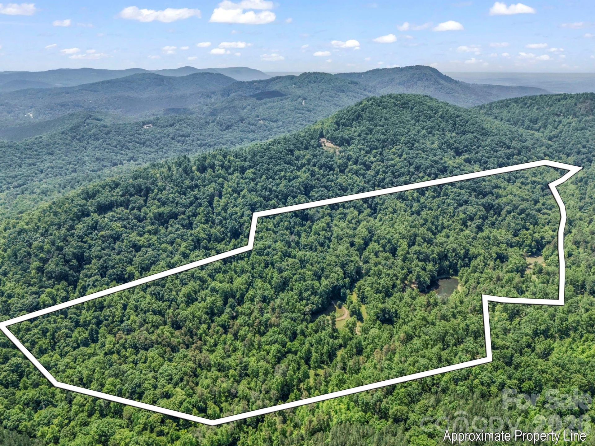 980 Mountain Forest Drive