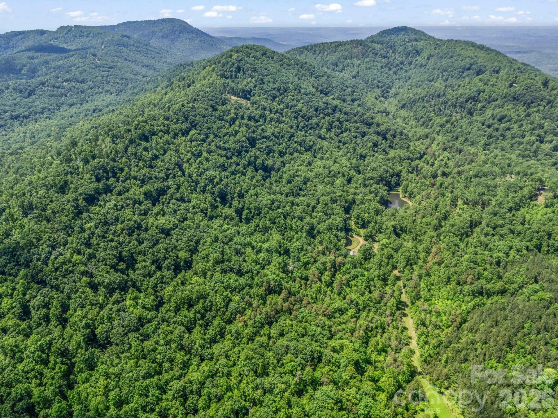 980 Mountain Forest Drive - Photo 2