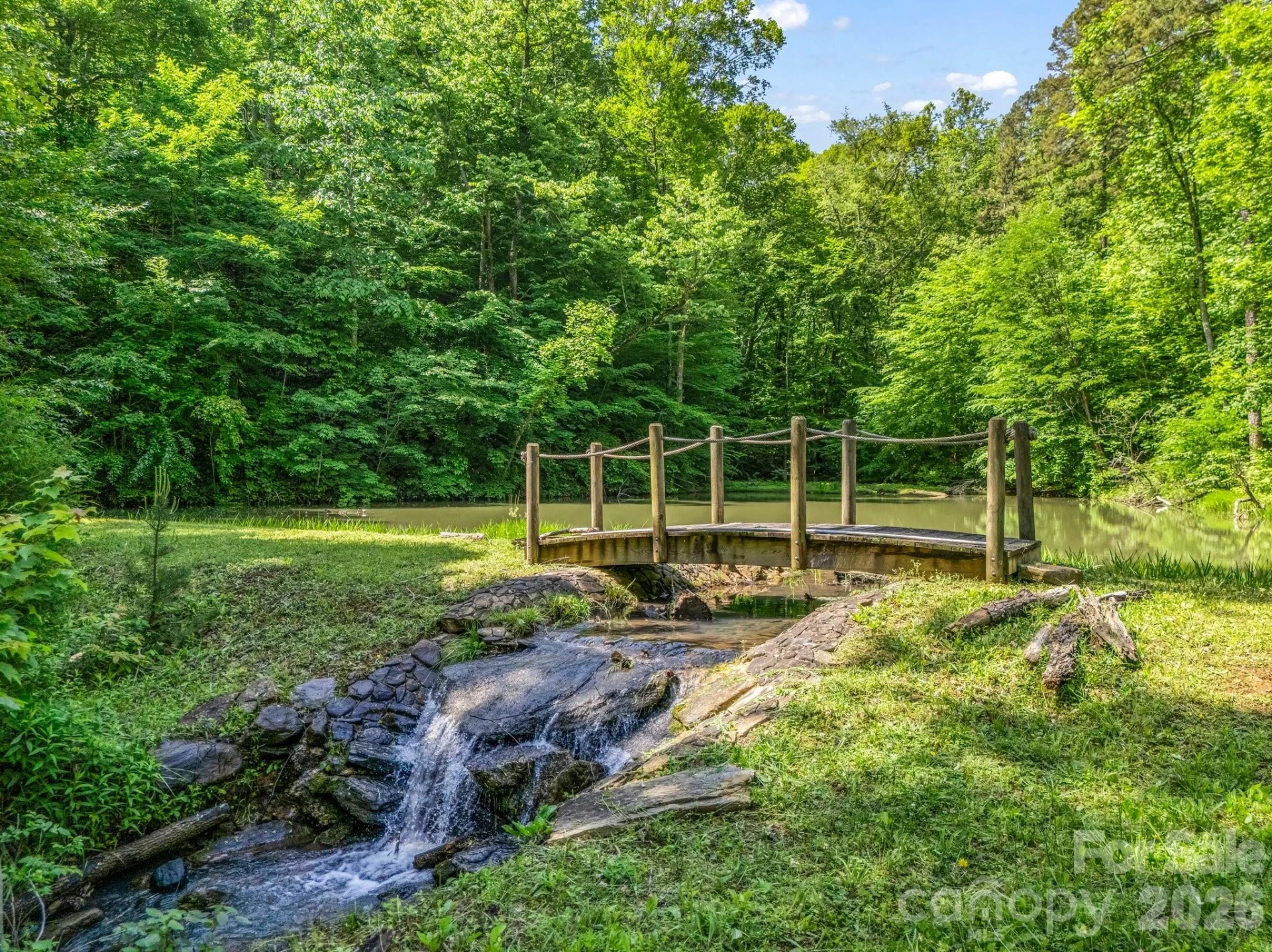 980 Mountain Forest Drive - Photo 8