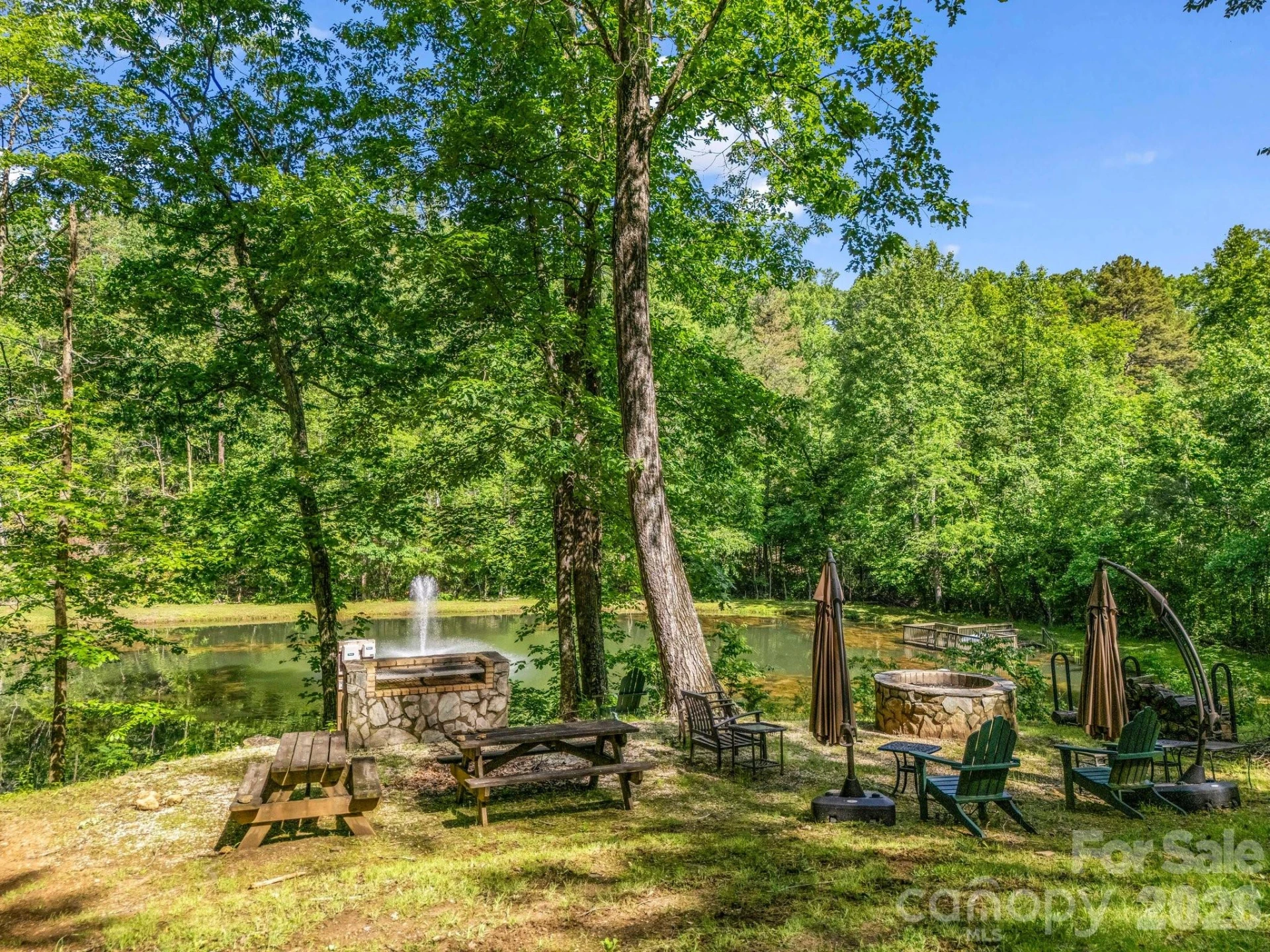 980 Mountain Forest Drive - Photo 9