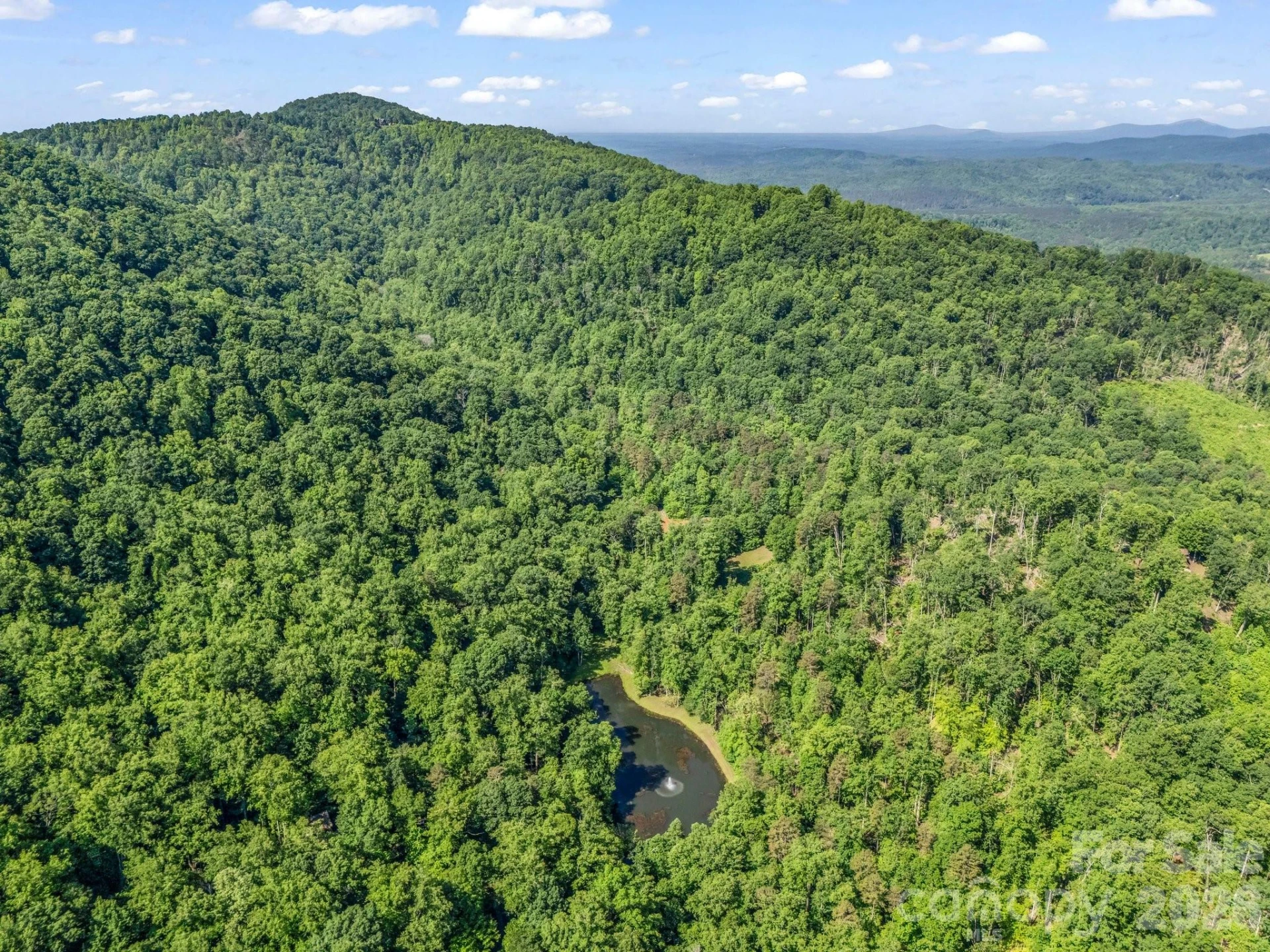 980 Mountain Forest Drive - Photo 41