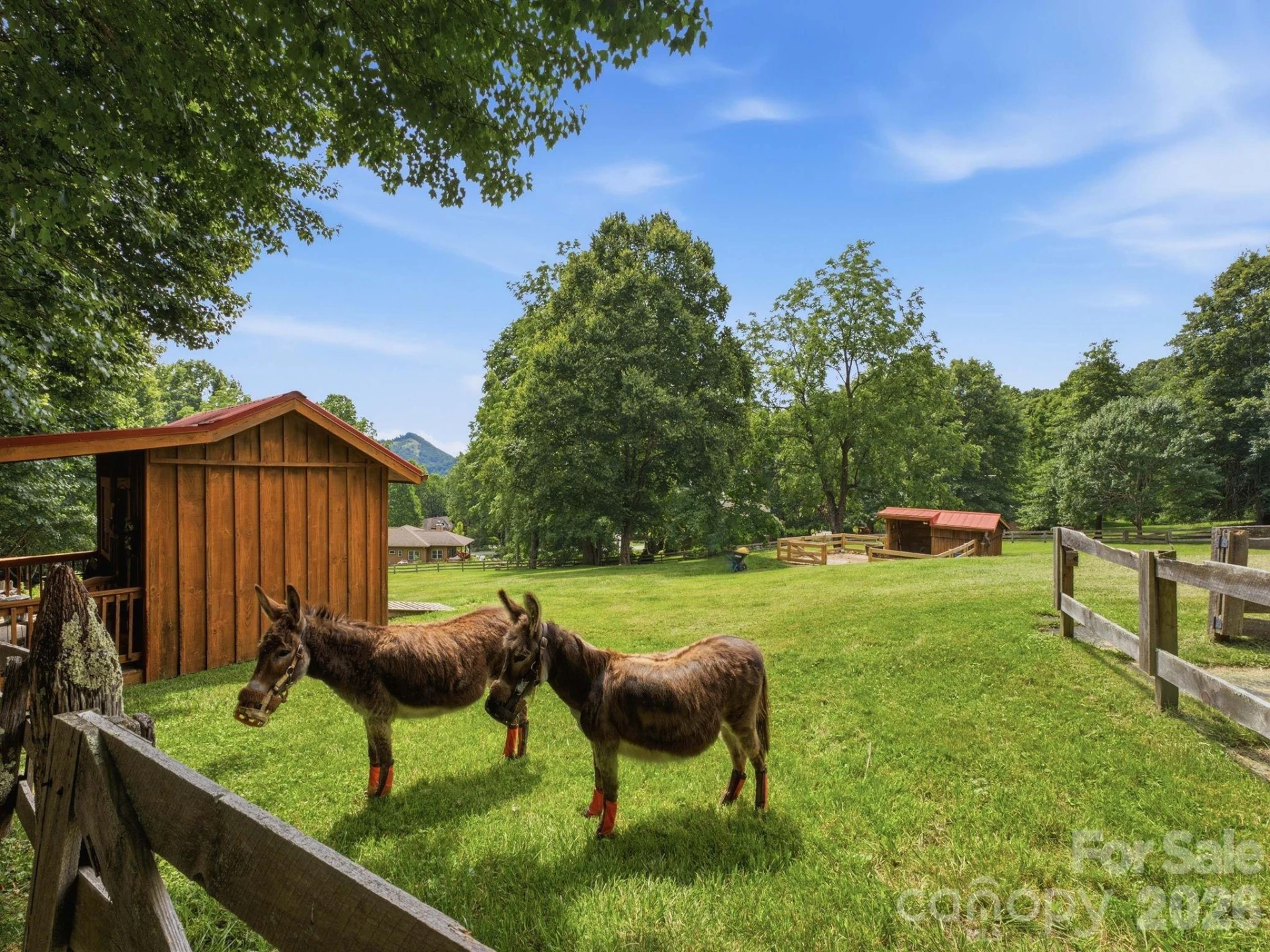 65 Airish Lane - Photo 41