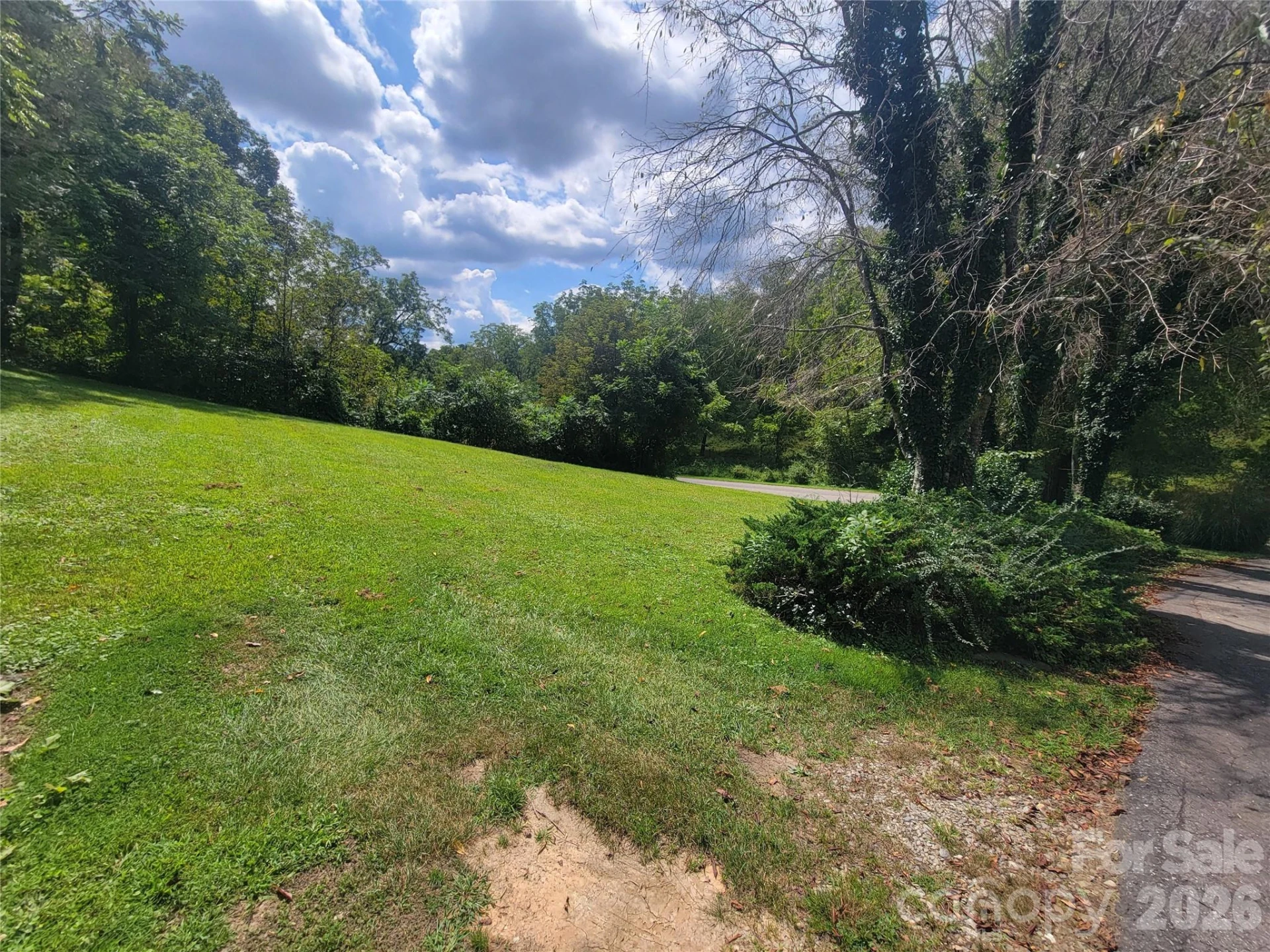 204 Kudzu Loop - Photo 4