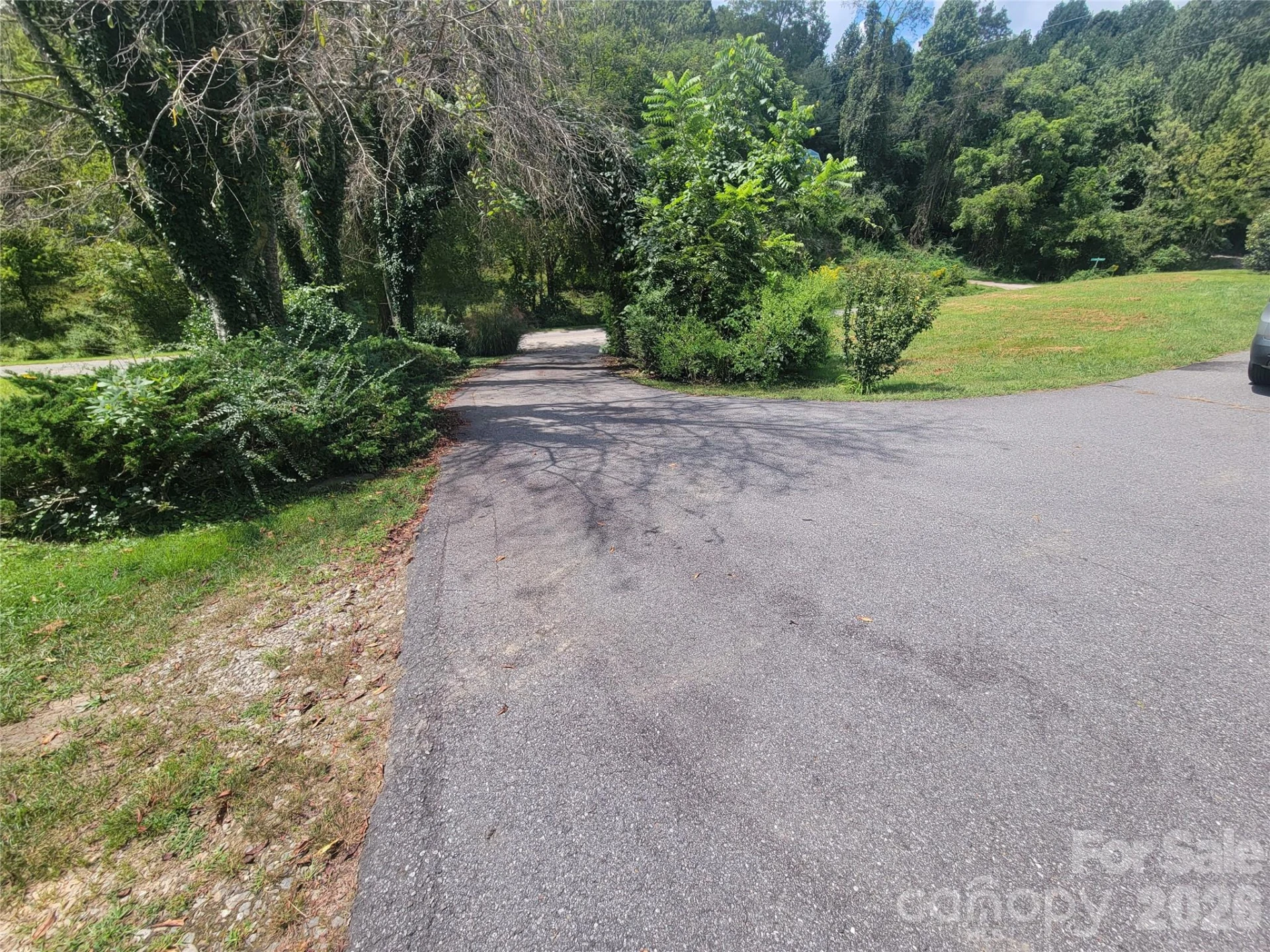 204 Kudzu Loop - Photo 5
