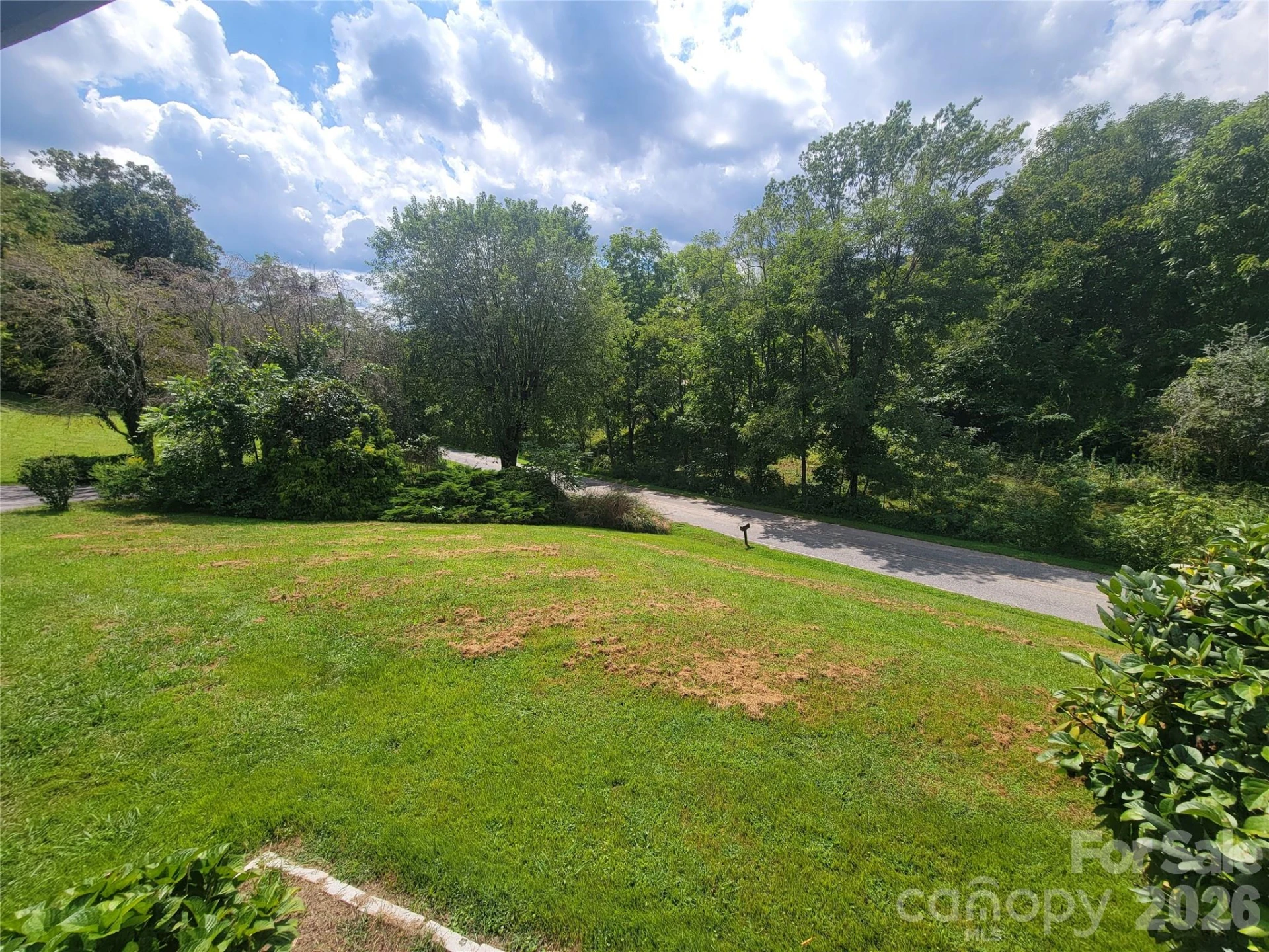 204 Kudzu Loop - Photo 13