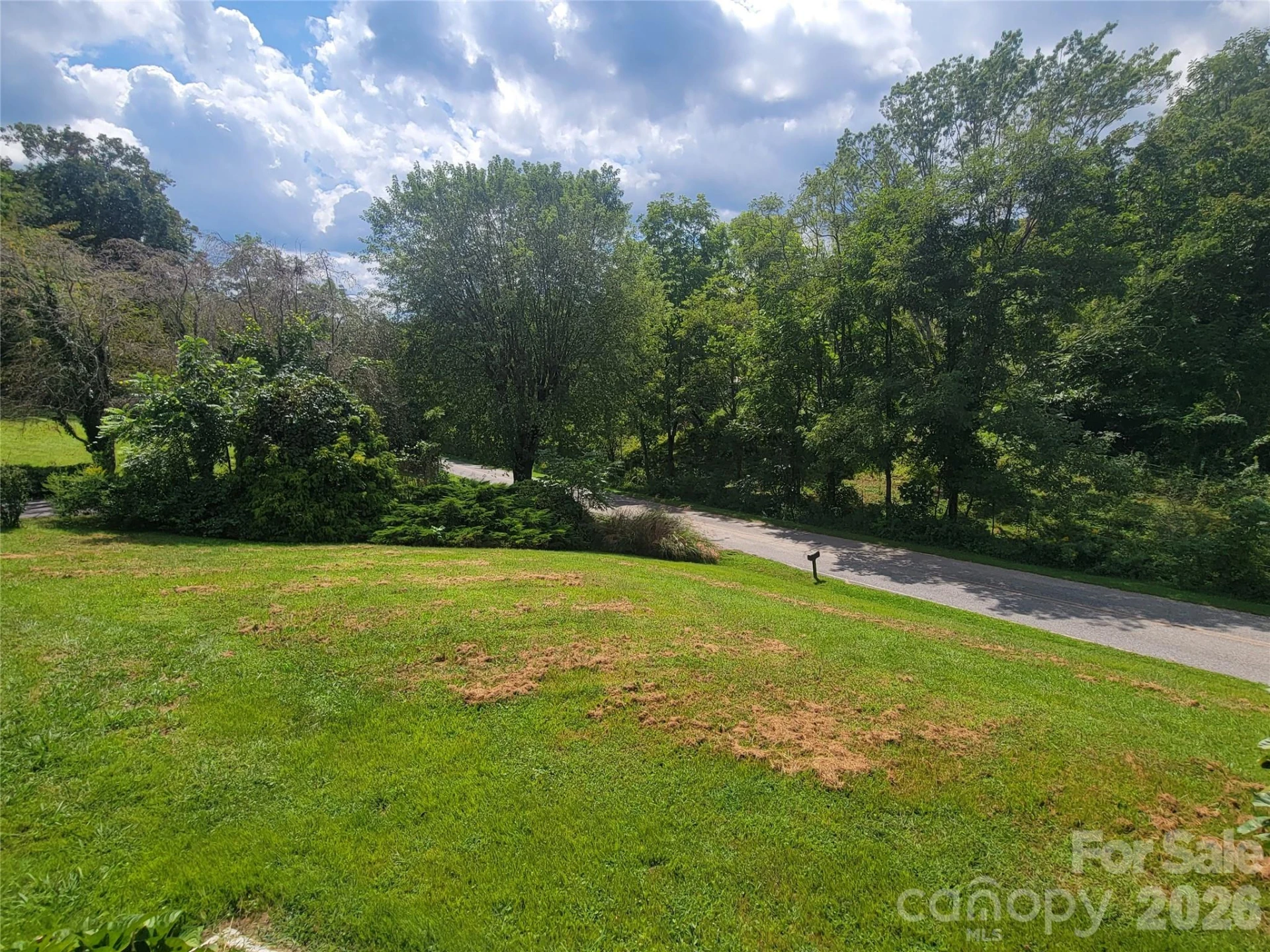 204 Kudzu Loop - Photo 14