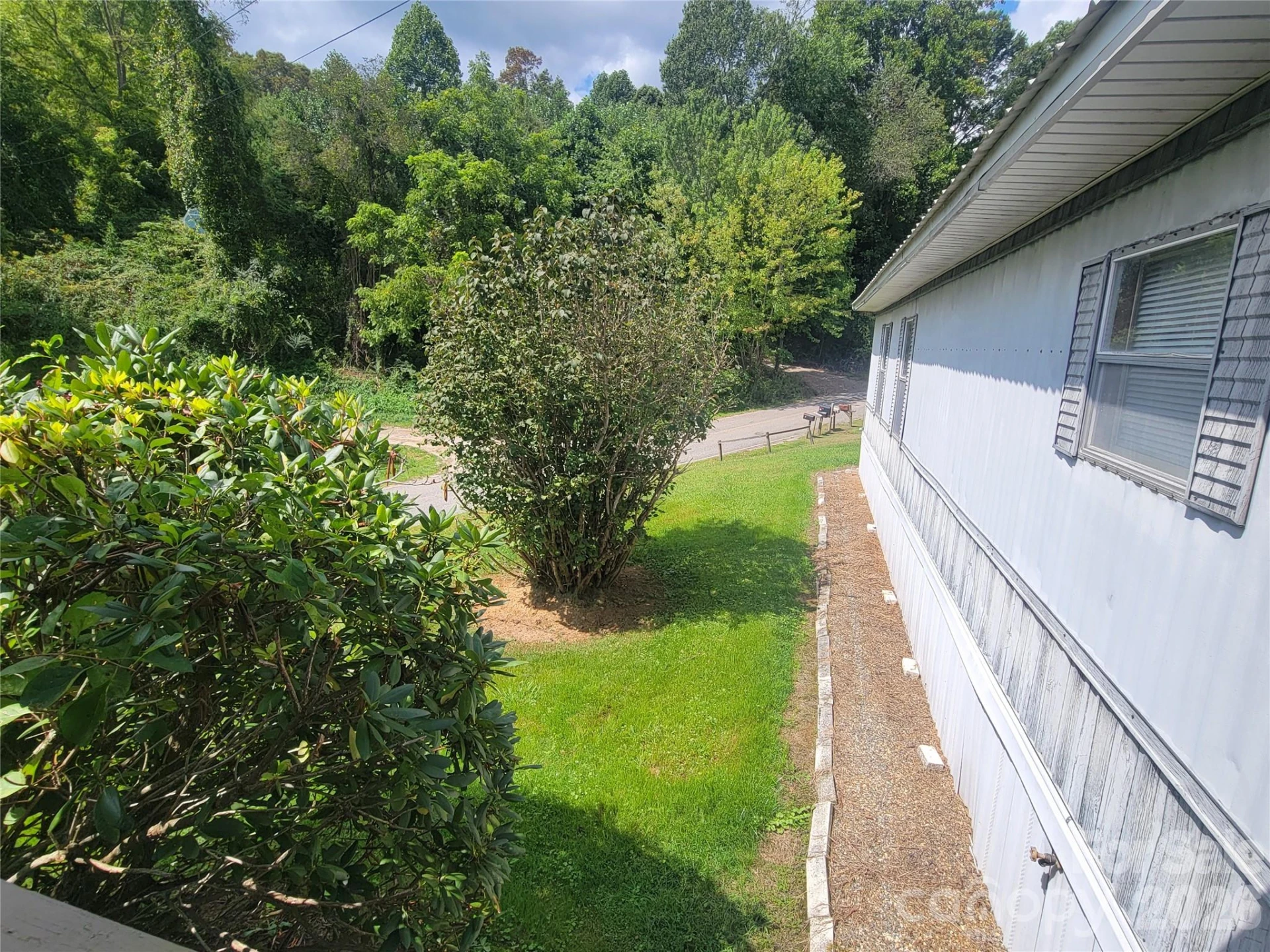 204 Kudzu Loop - Photo 15