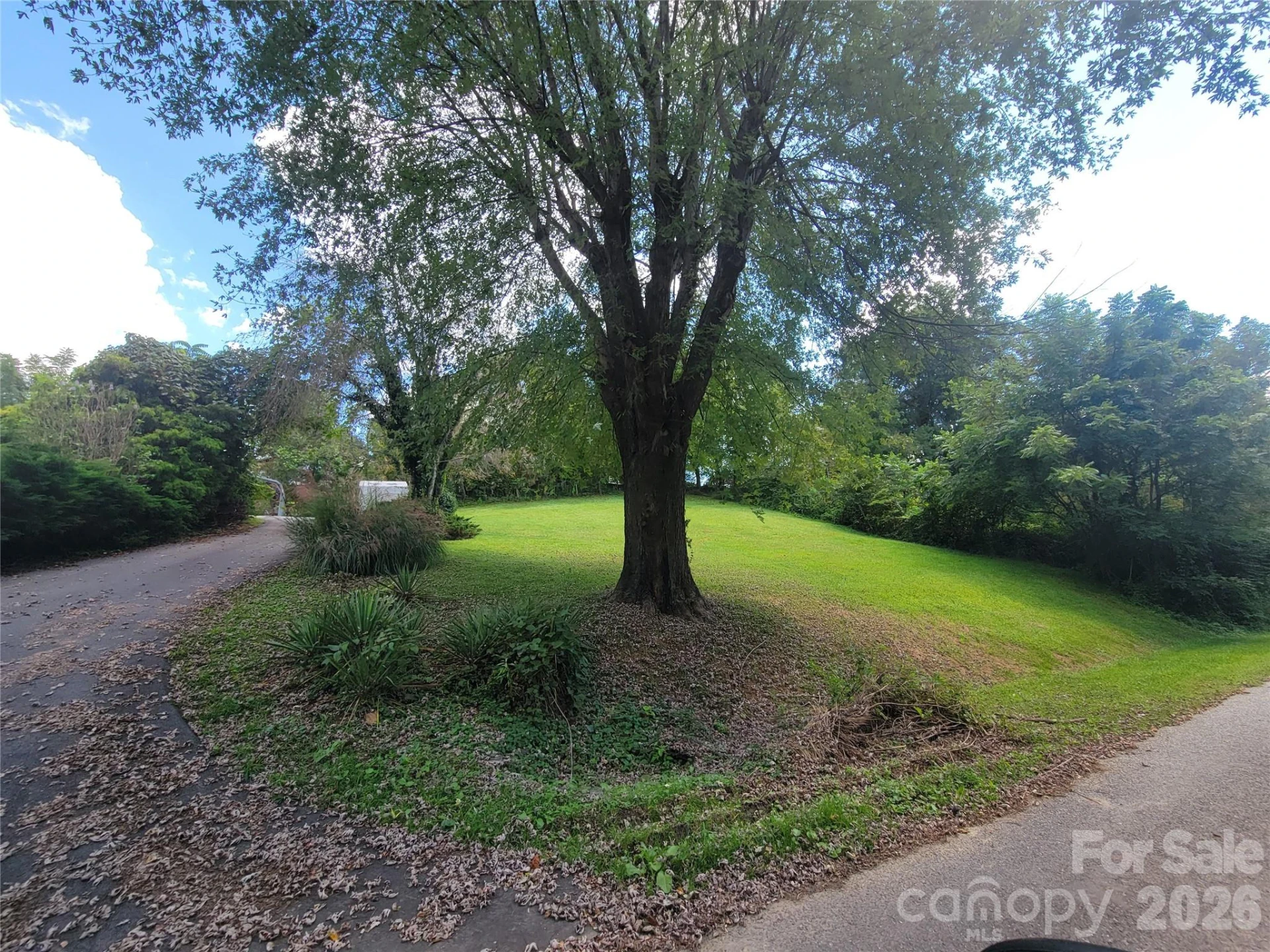 204 Kudzu Loop - Photo 35