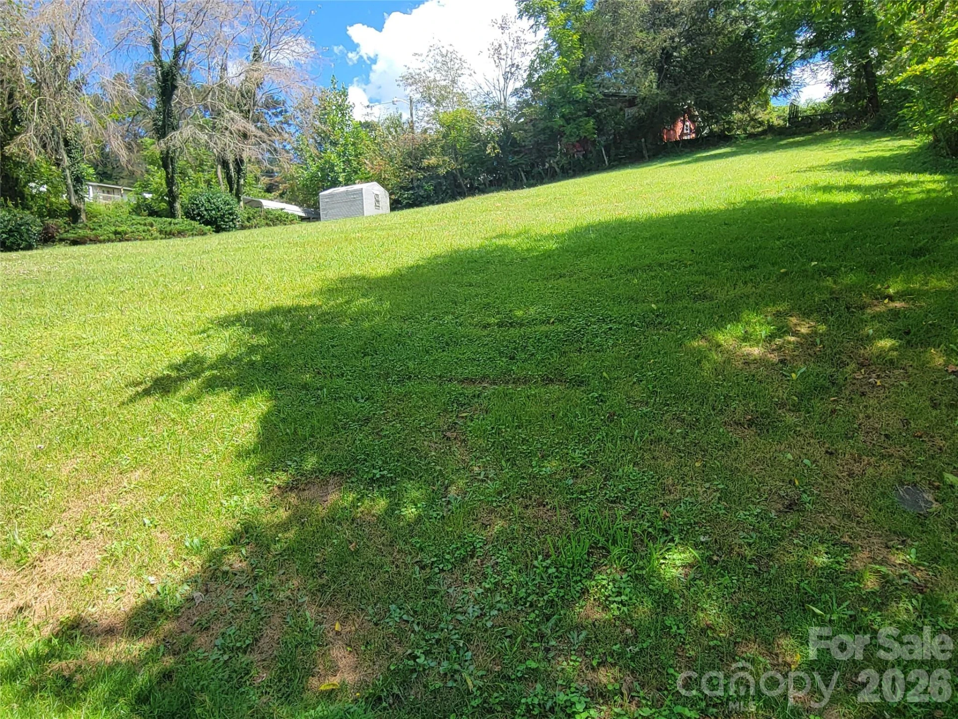 204 Kudzu Loop - Photo 36