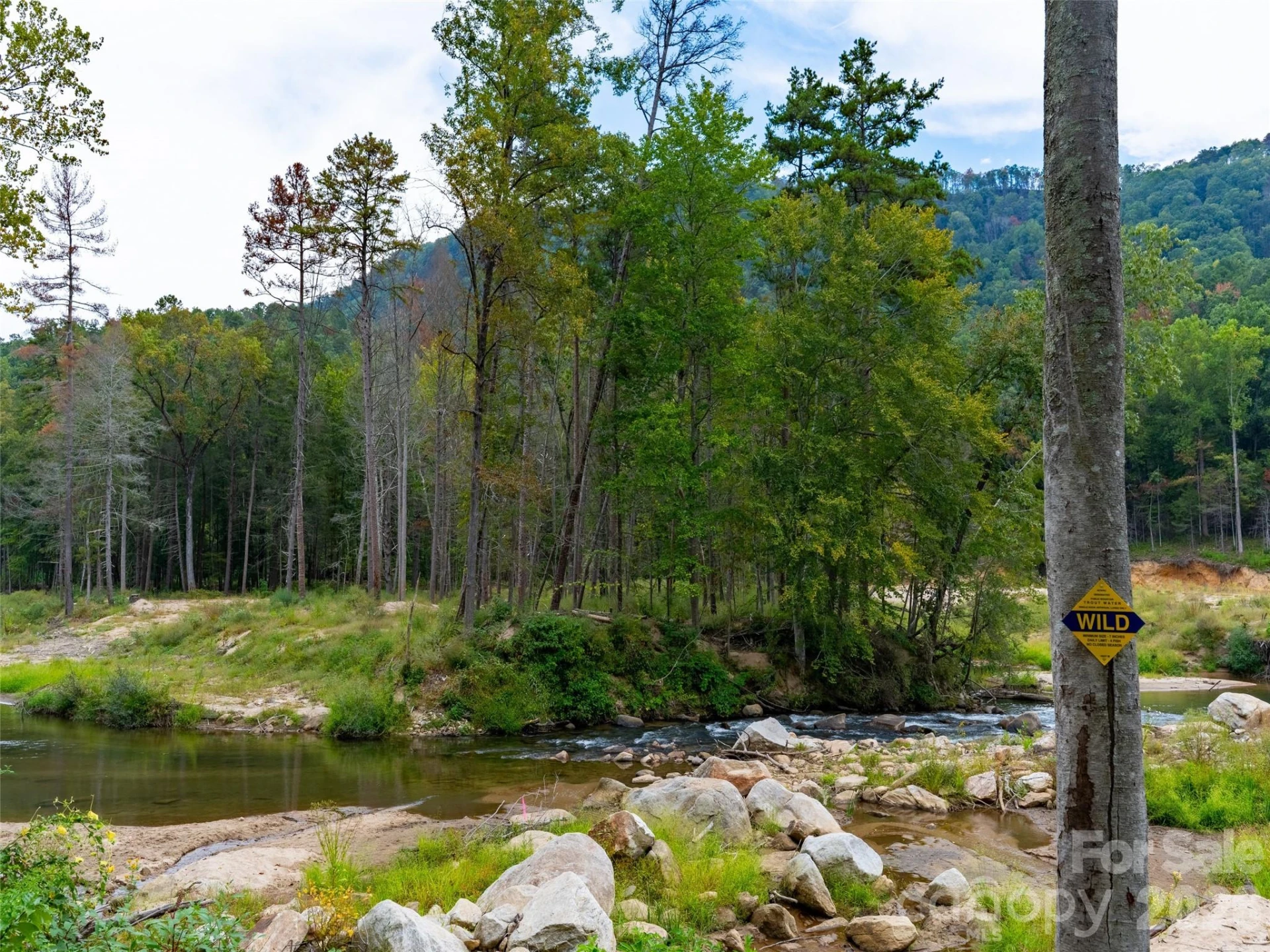 3050 Green River Cove Road - Photo 46