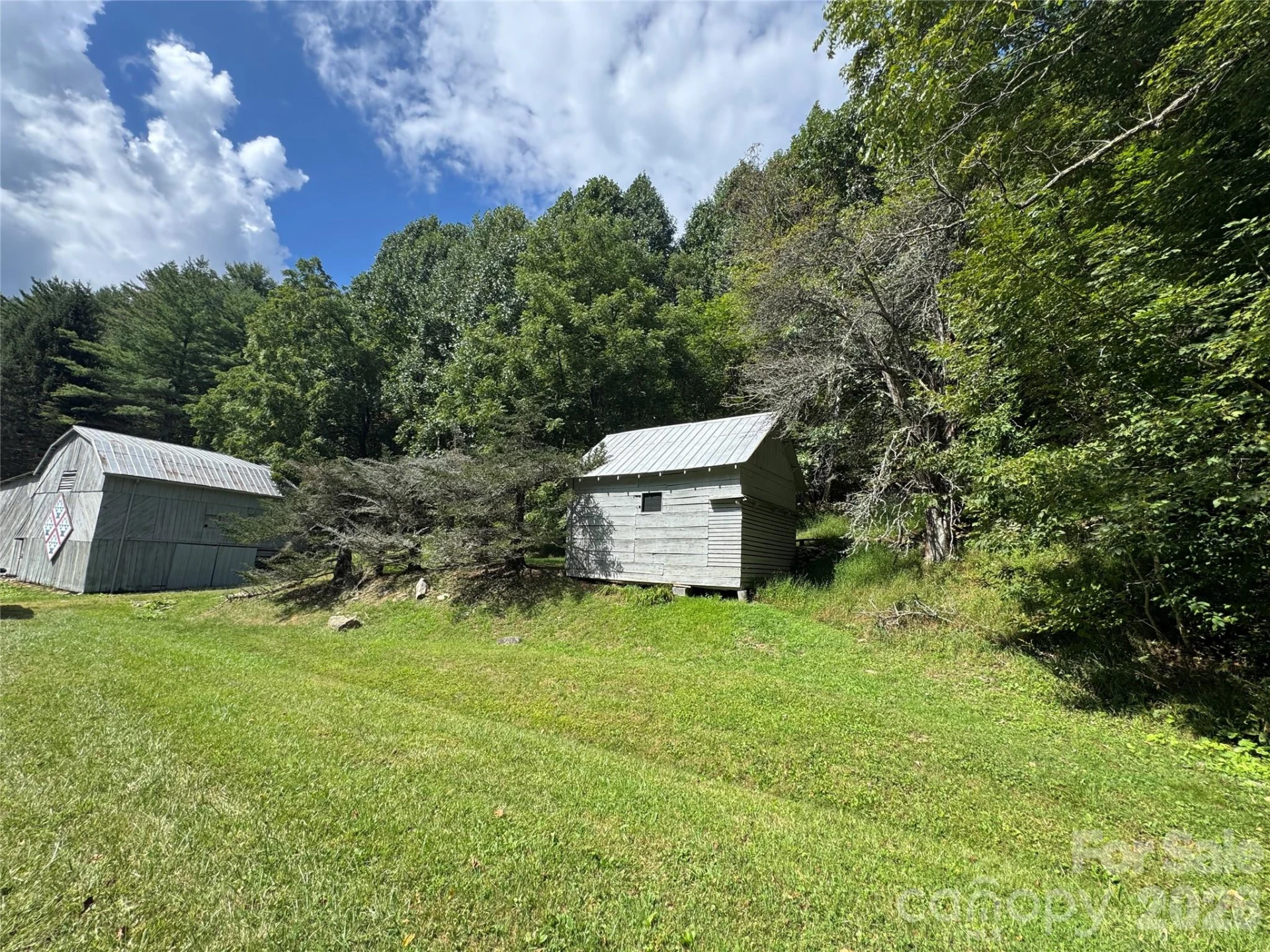 000 Puncheon Fork Road - Photo 2