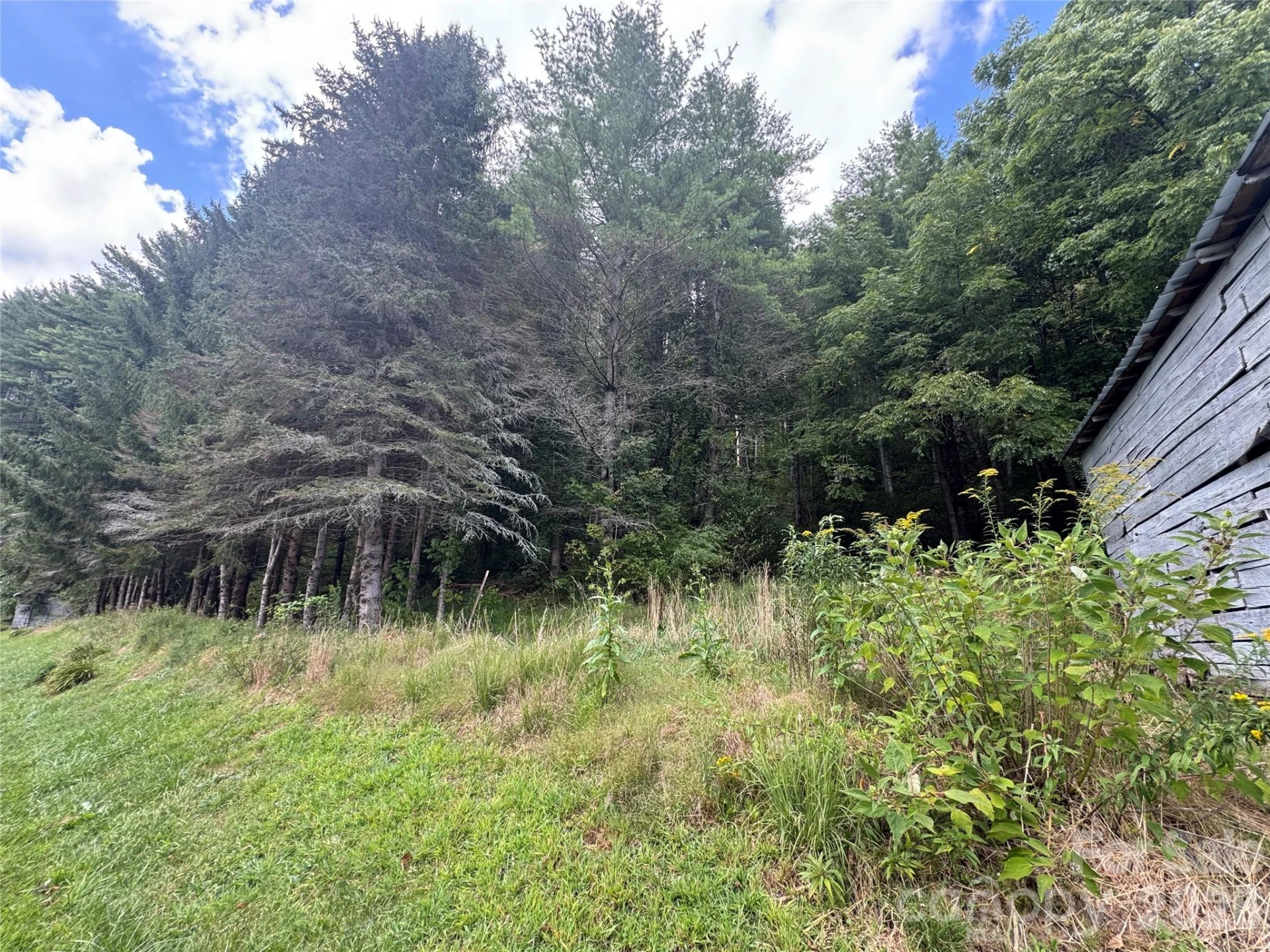 000 Puncheon Fork Road - Photo 4