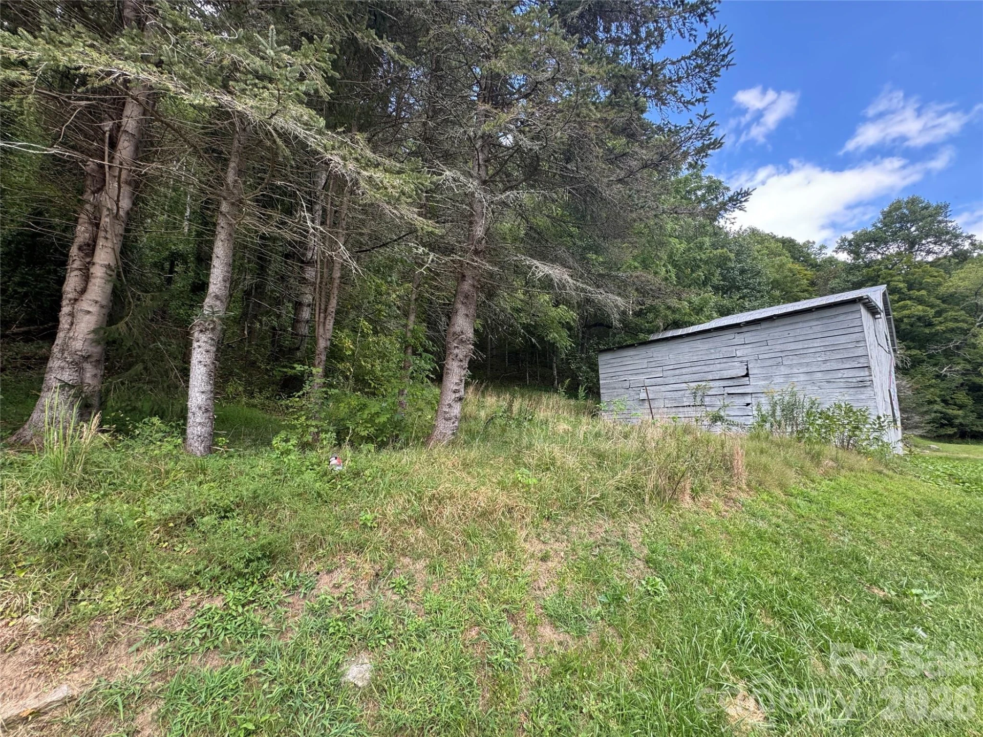 000 Puncheon Fork Road - Photo 6