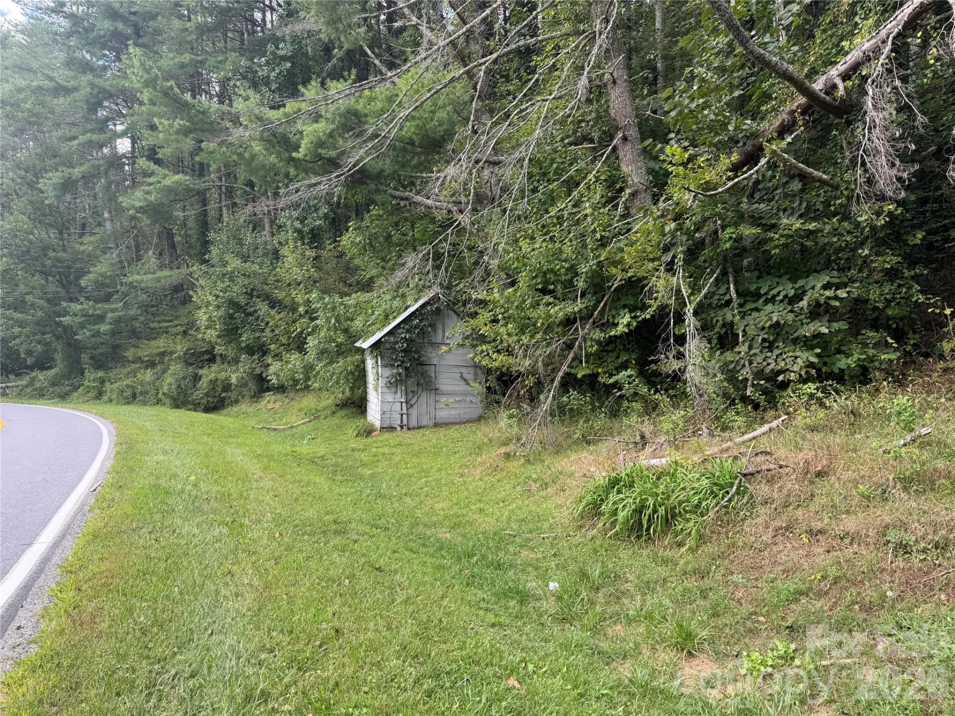000 Puncheon Fork Road - Photo 7