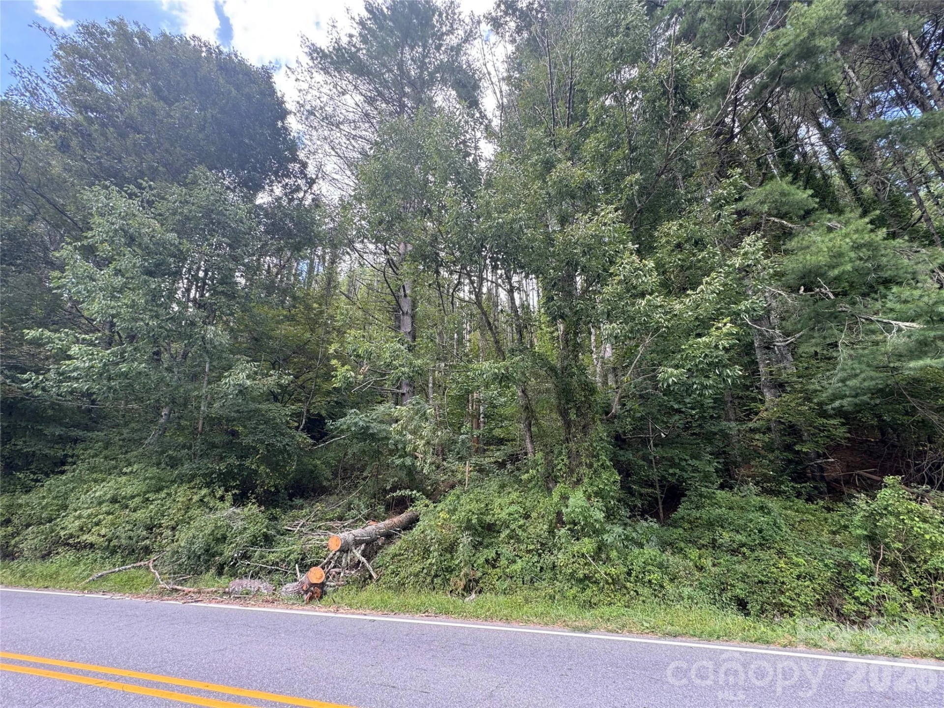 000 Puncheon Fork Road - Photo 9