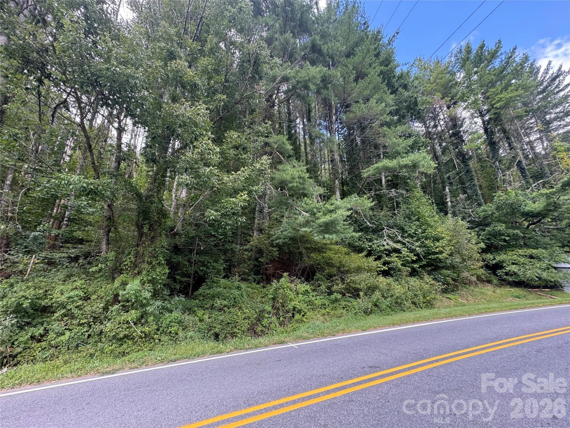 000 Puncheon Fork Road - Photo 10
