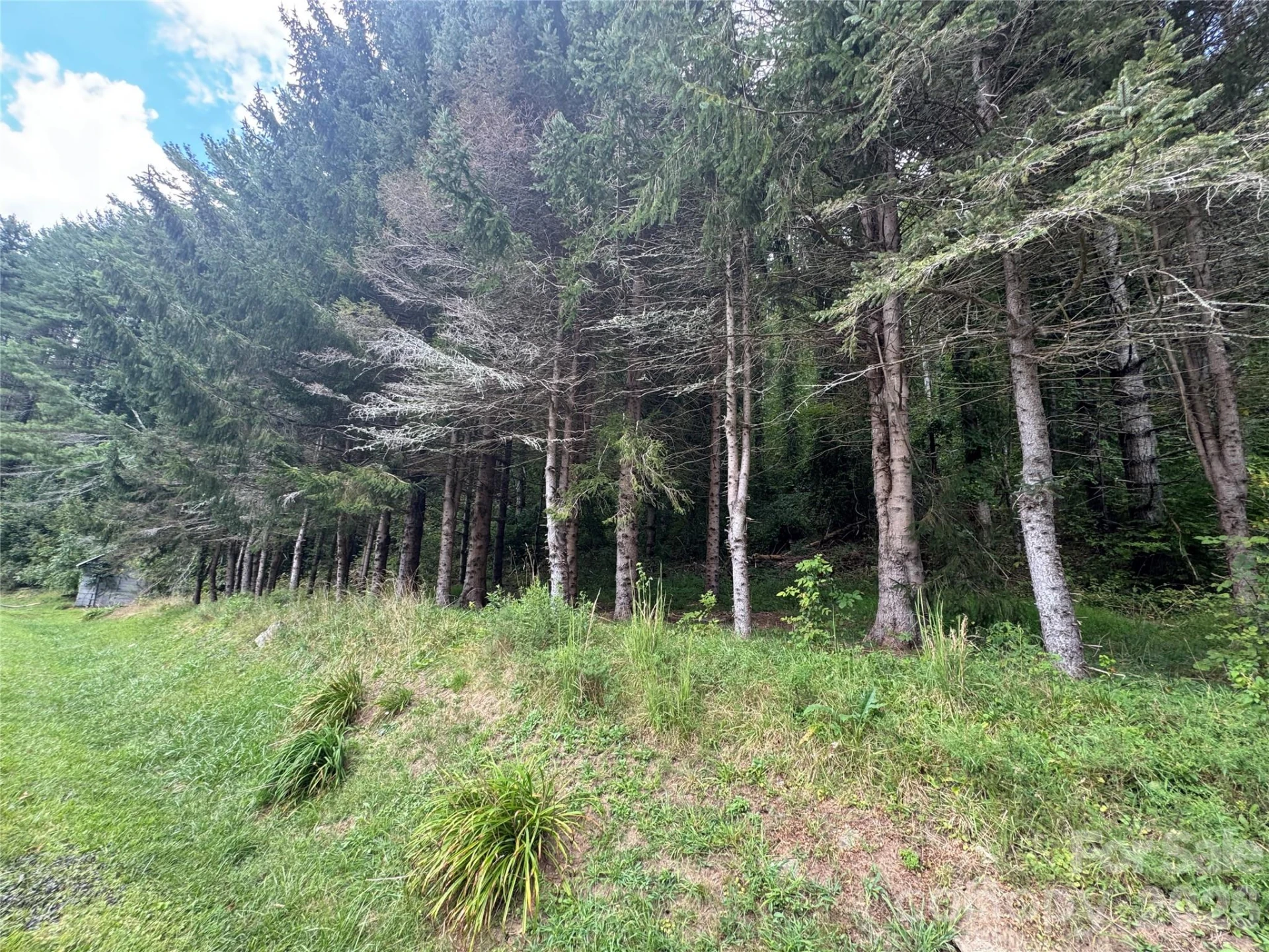 000 Puncheon Fork Road - Photo 11