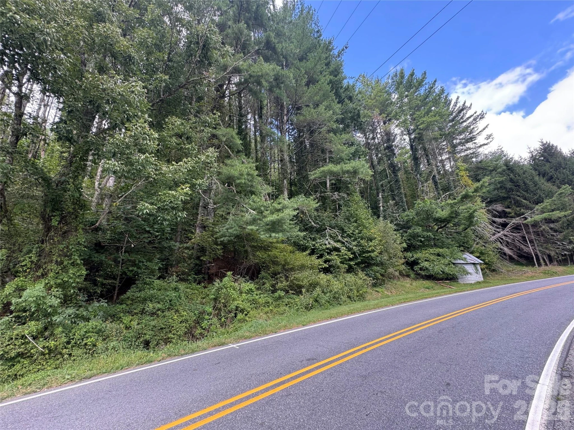 000 Puncheon Fork Road - Photo 12