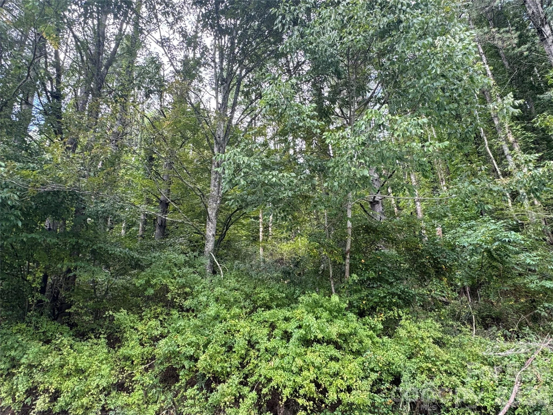 000 Puncheon Fork Road - Photo 13