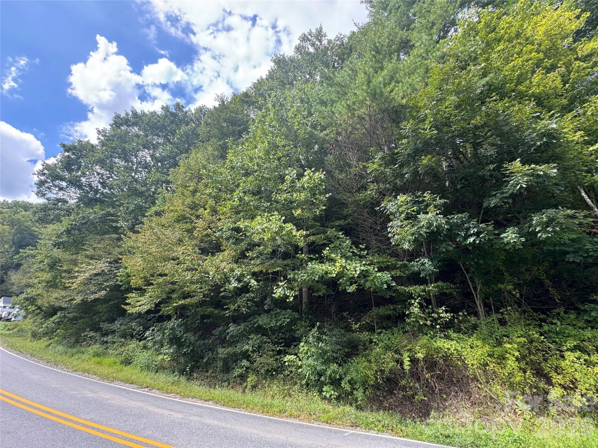 000 Puncheon Fork Road - Photo 15