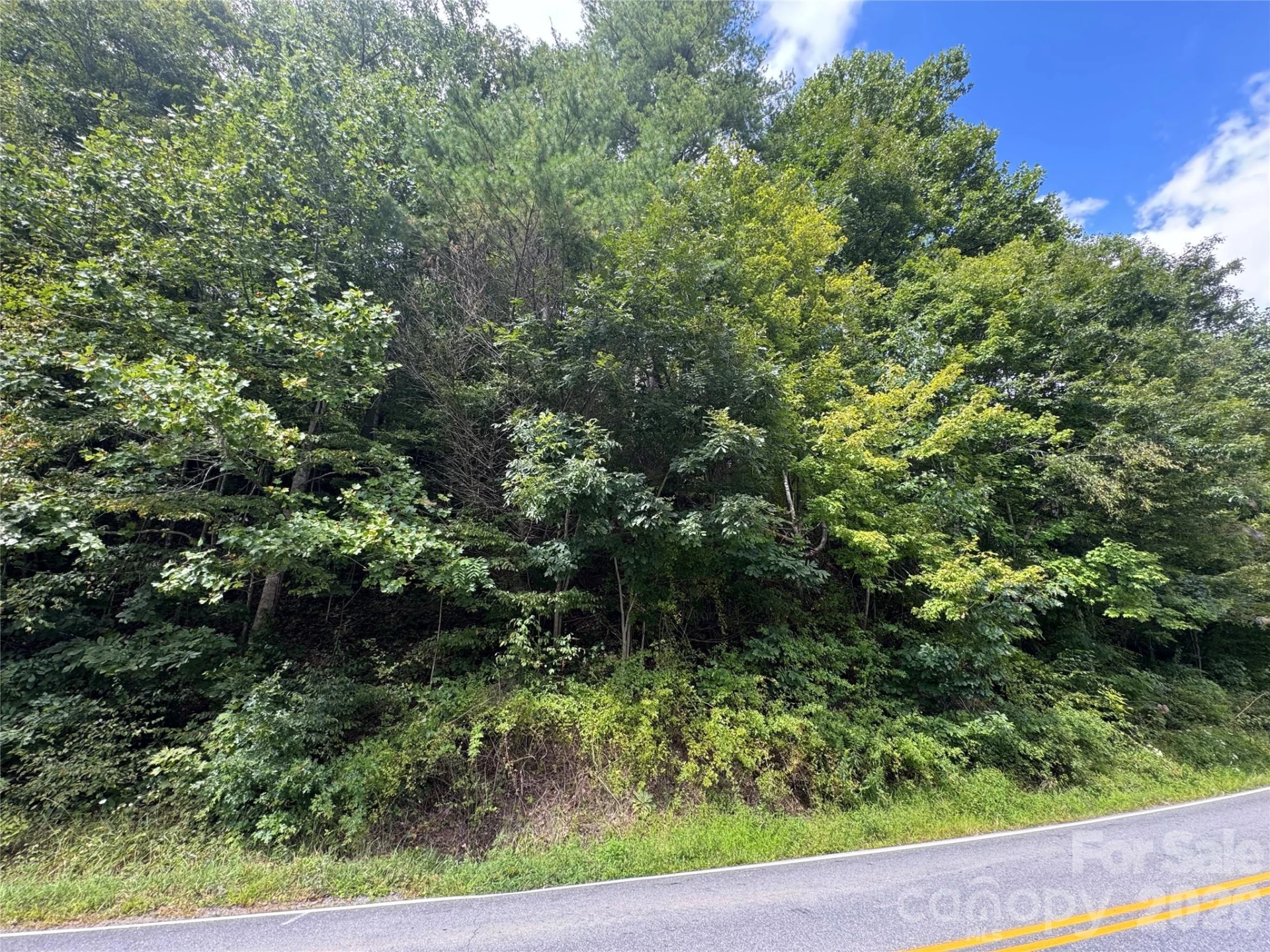 000 Puncheon Fork Road - Photo 16
