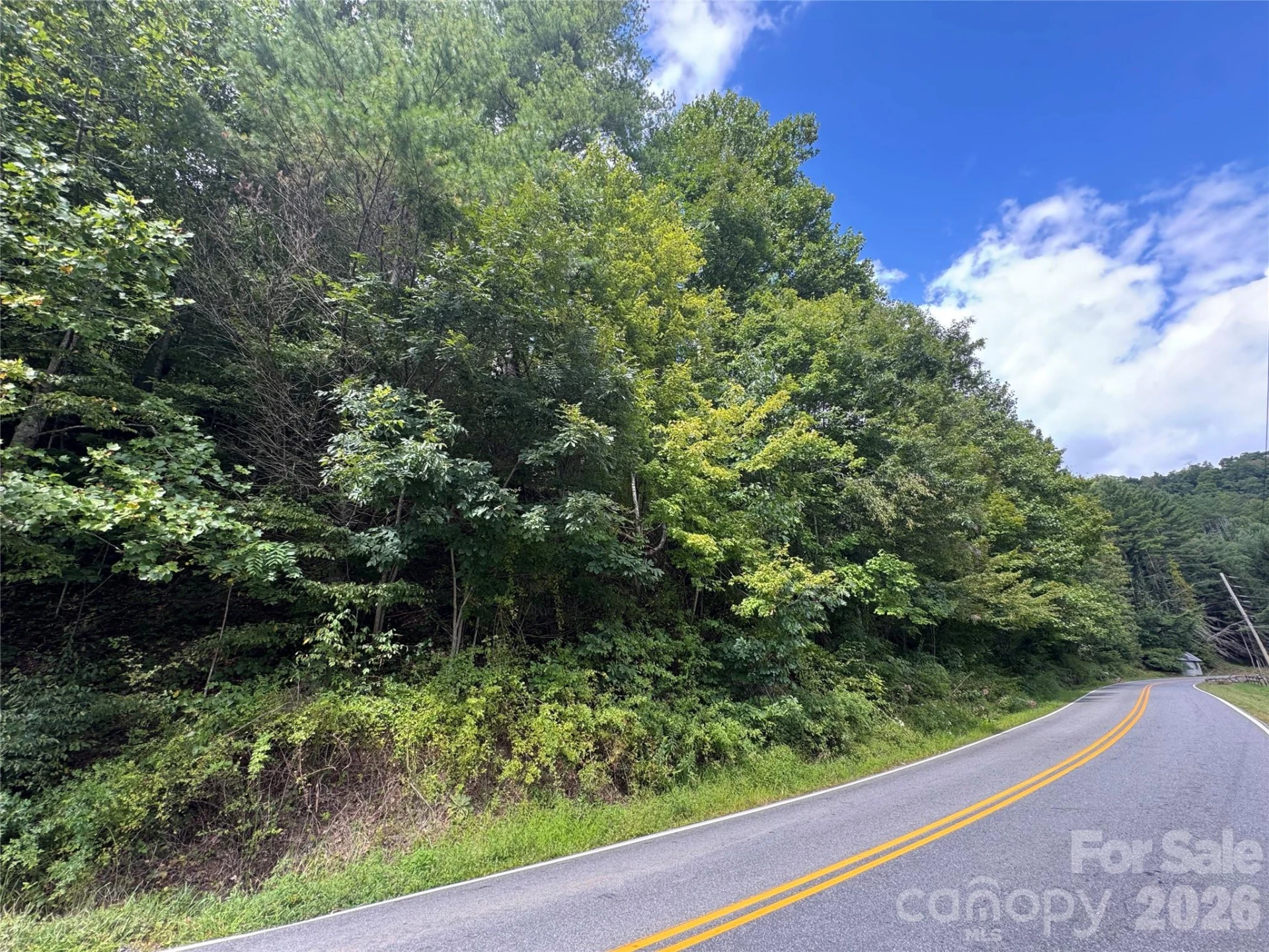 000 Puncheon Fork Road - Photo 17