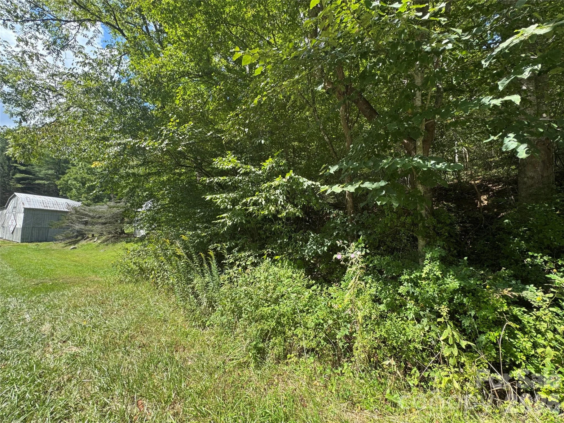 000 Puncheon Fork Road - Photo 18