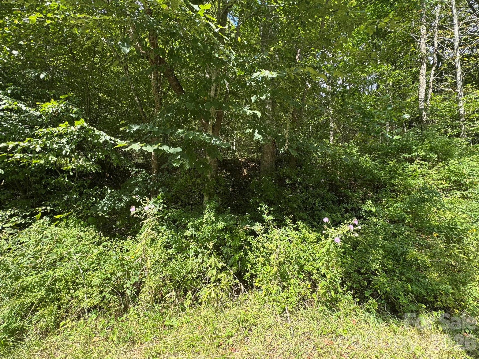 000 Puncheon Fork Road - Photo 19
