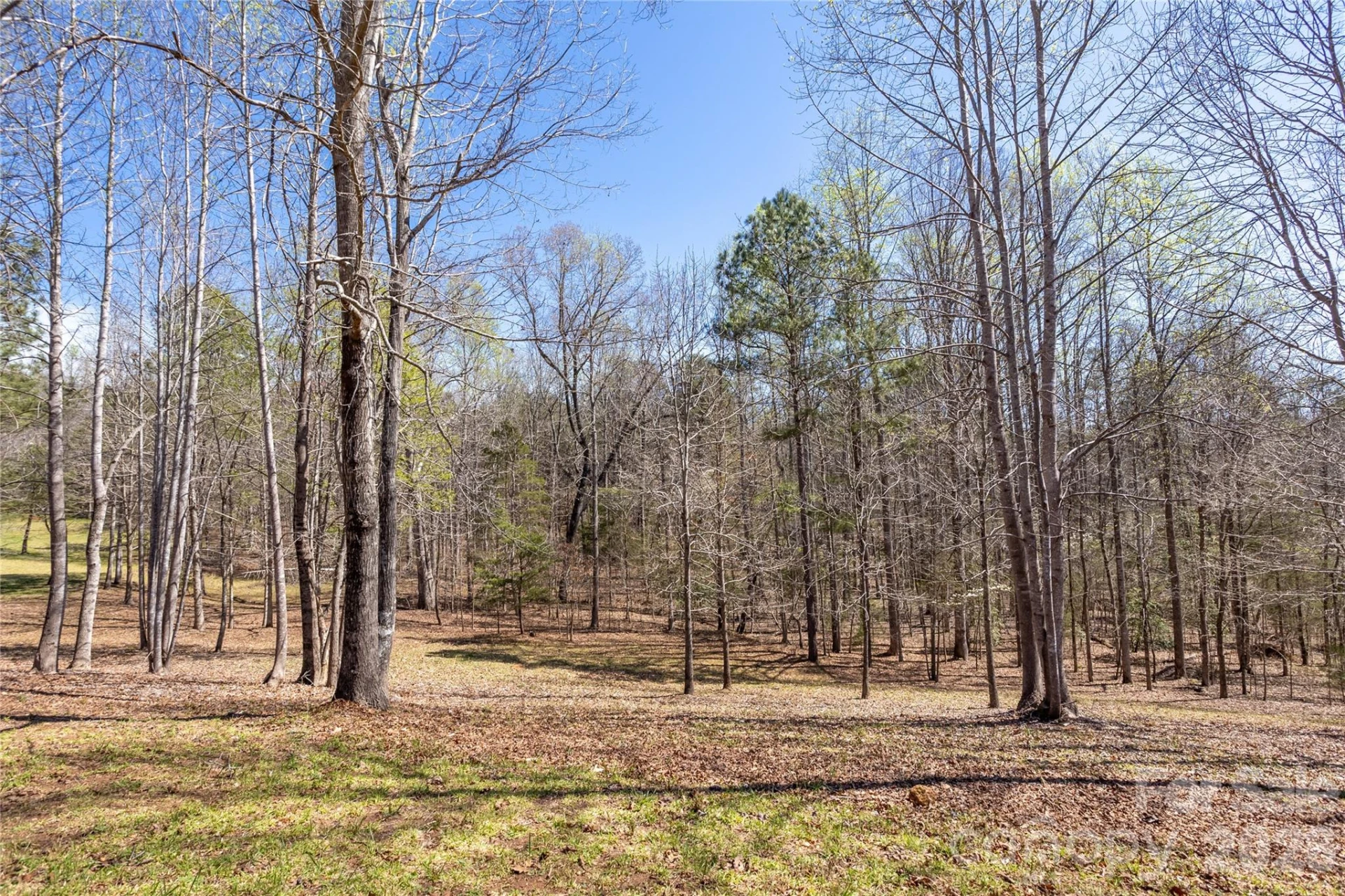 201 Whitestone Circle - Photo 33