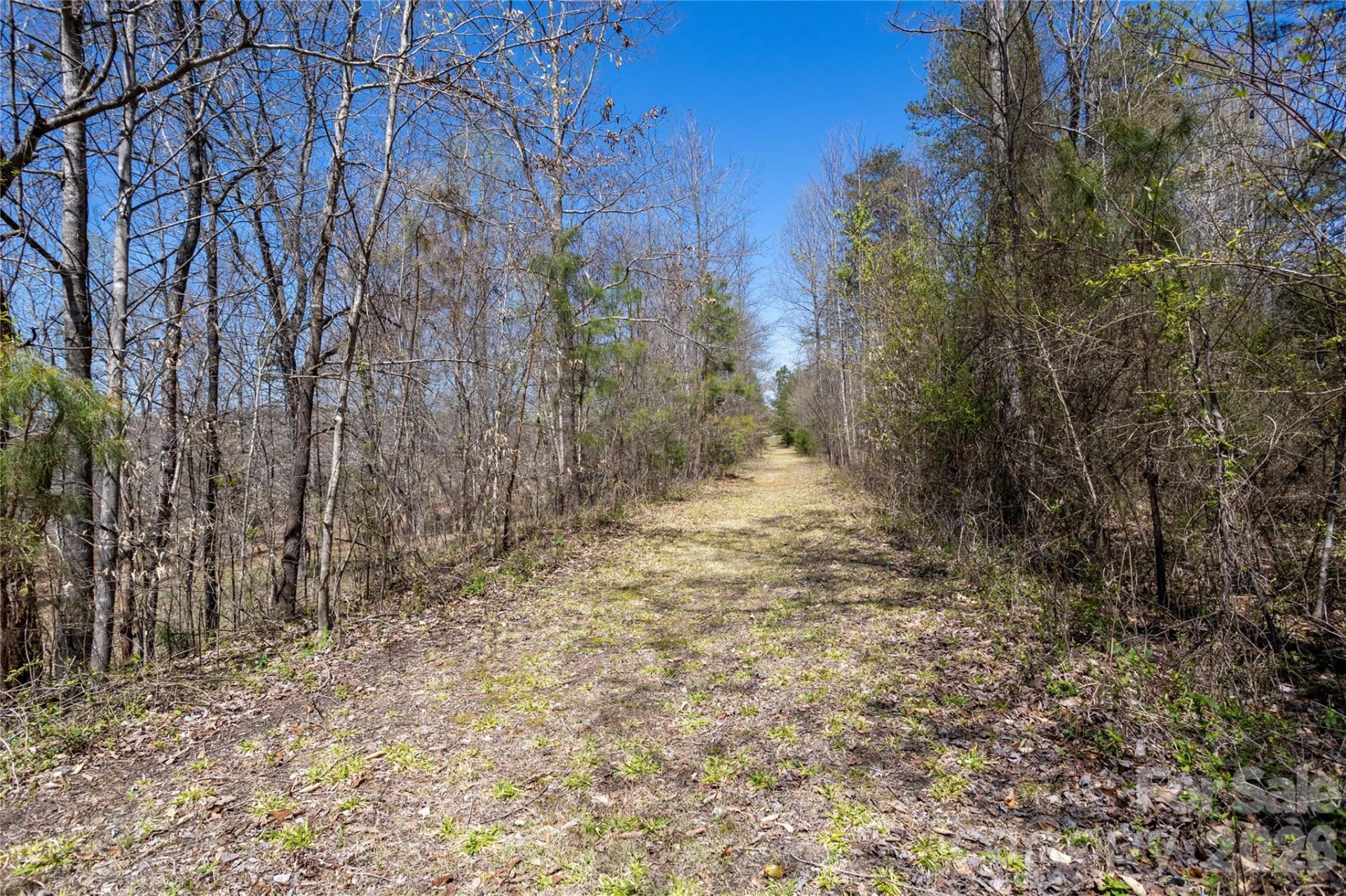 201 Whitestone Circle - Photo 37