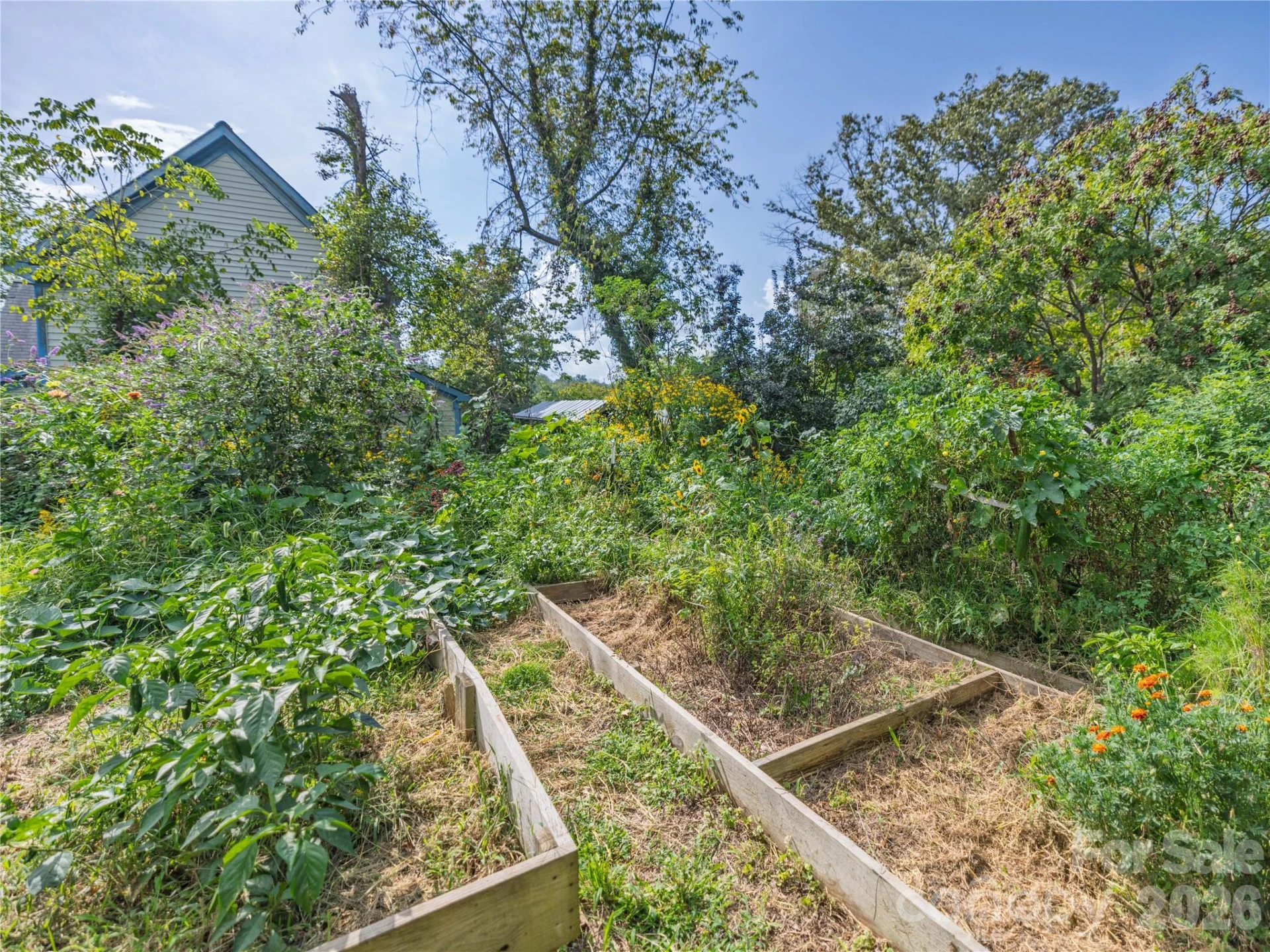 23 Northview Street - Photo 25