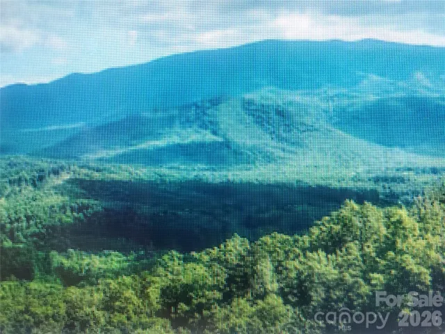 000 Justin Ridge, Clyde, NC, 28721