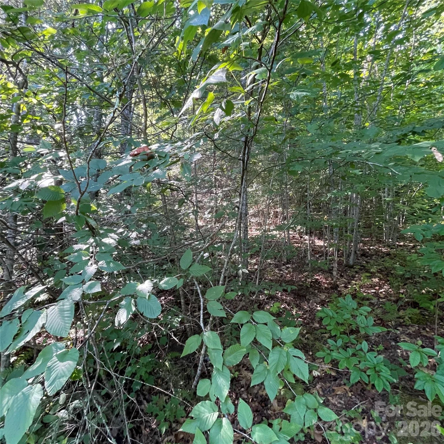 Cedar Creek 0 Road - Photo 3