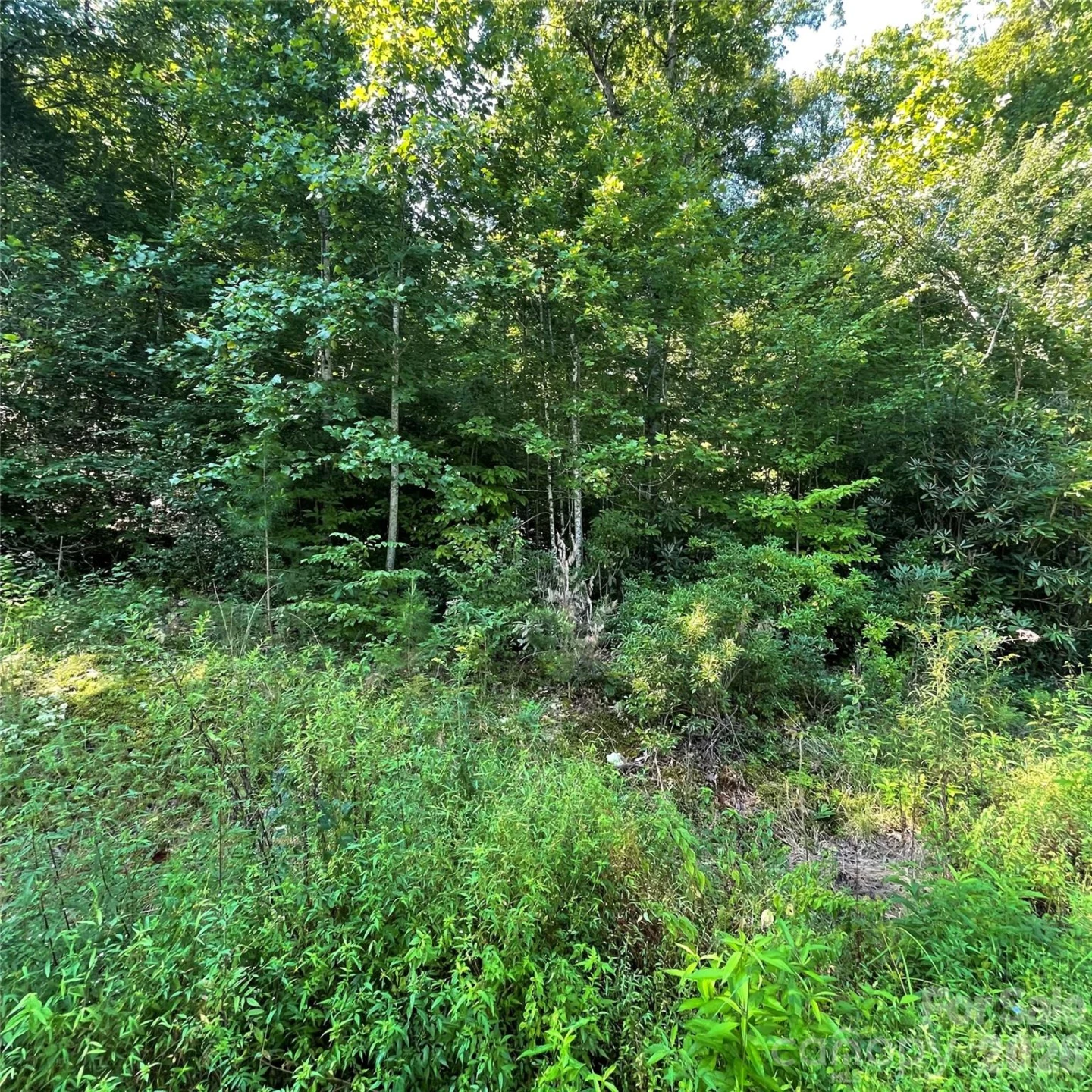 Cedar Creek 0 Road - Photo 6