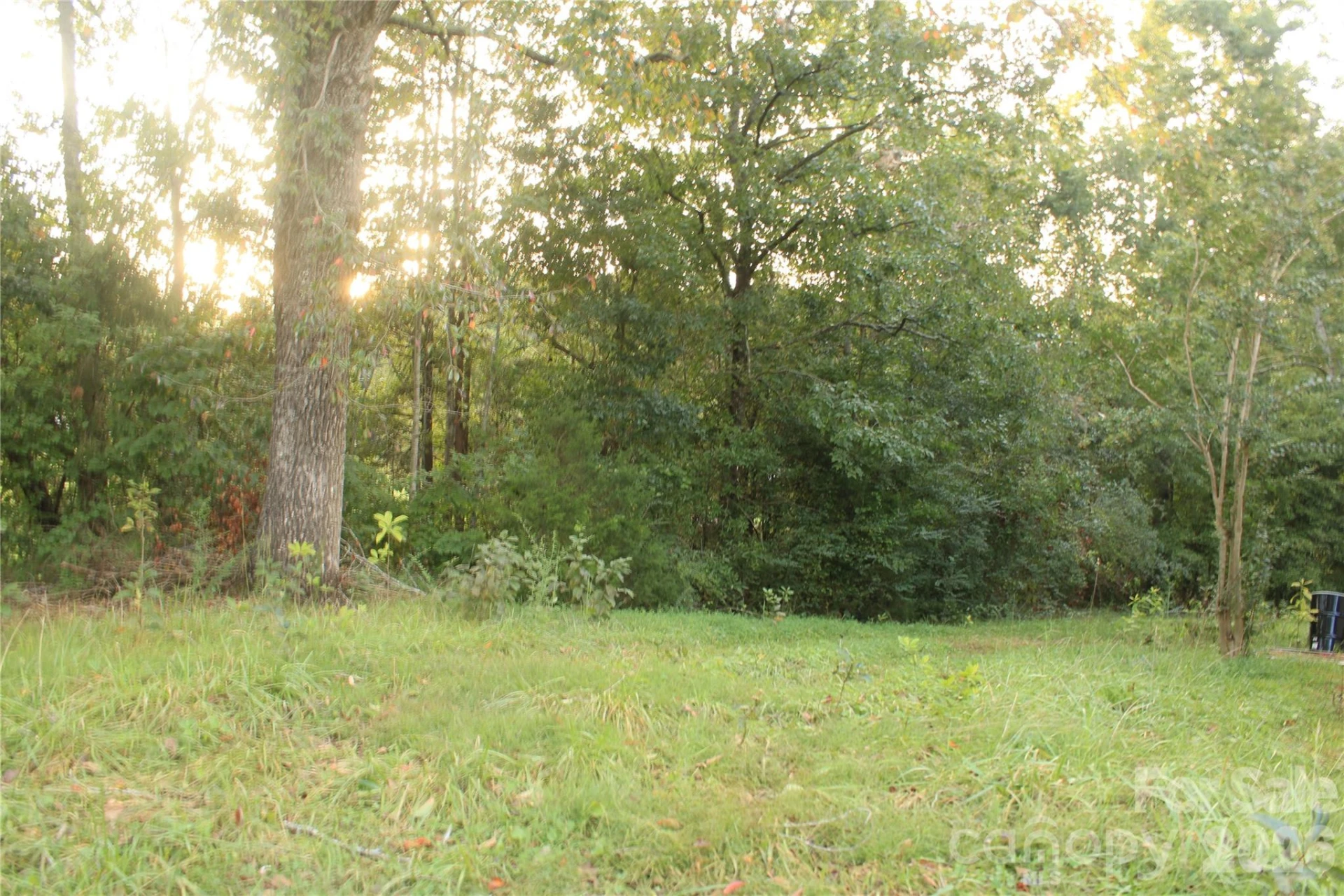 579 Hollis Road - Photo 14