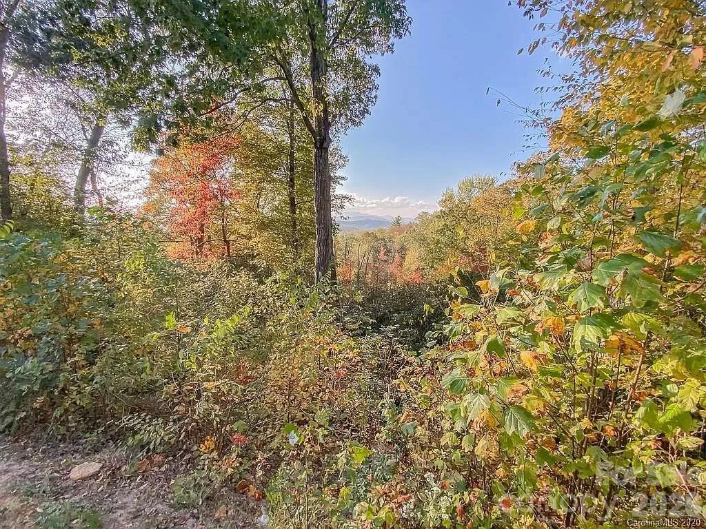 215 Crossvine Trail #11