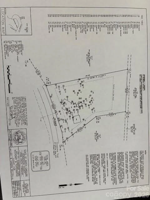 215 Crossvine Trail #11 - Photo 2