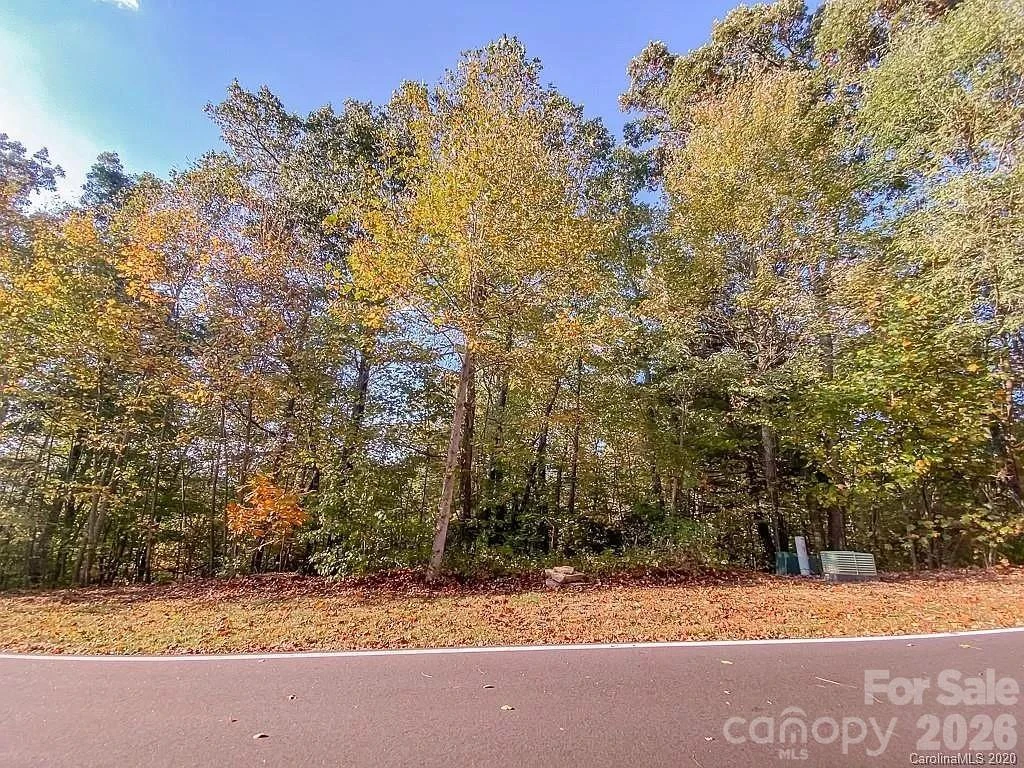 215 Crossvine Trail #11 - Photo 6