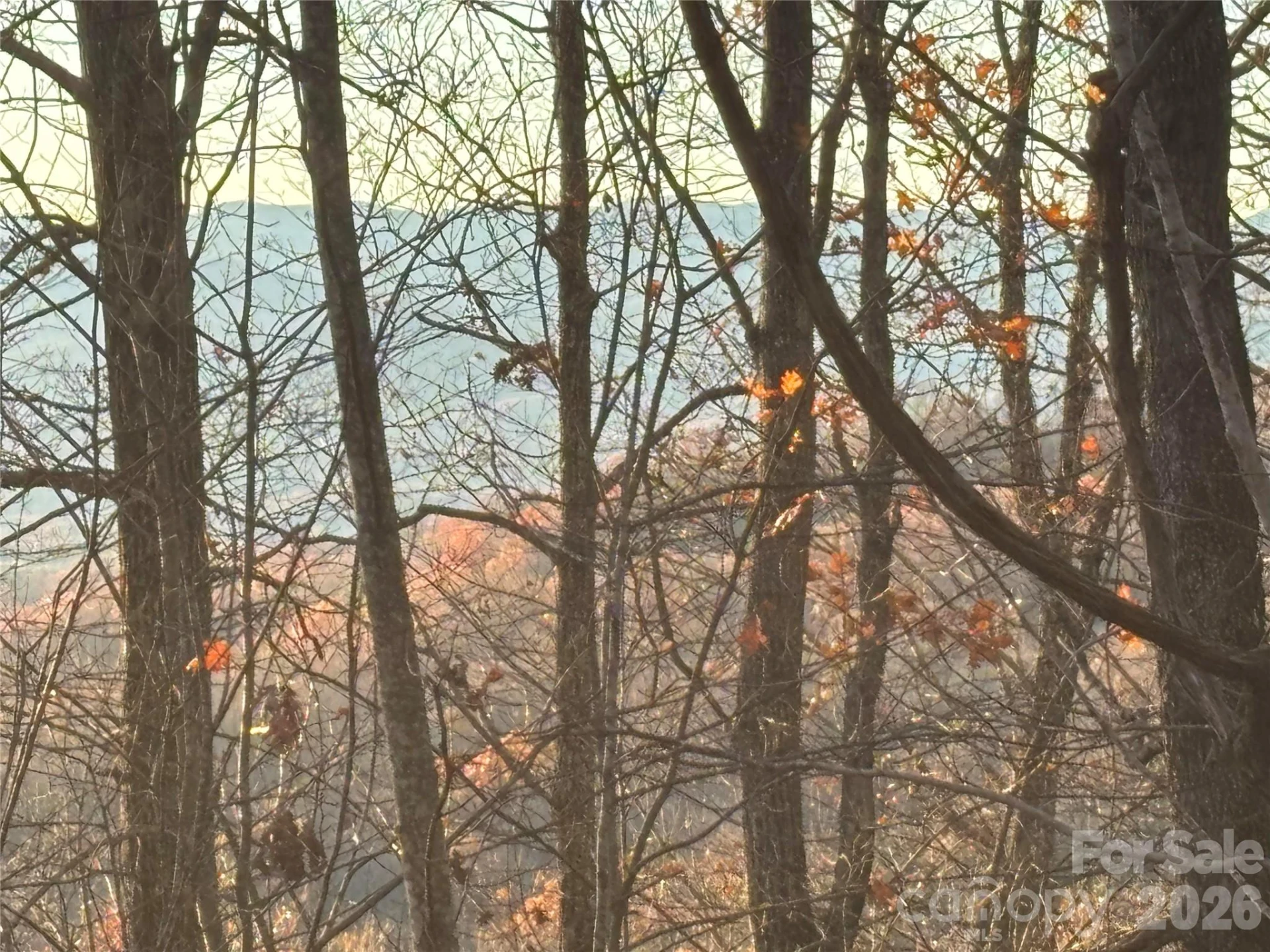 215 Crossvine Trail #11 - Photo 11