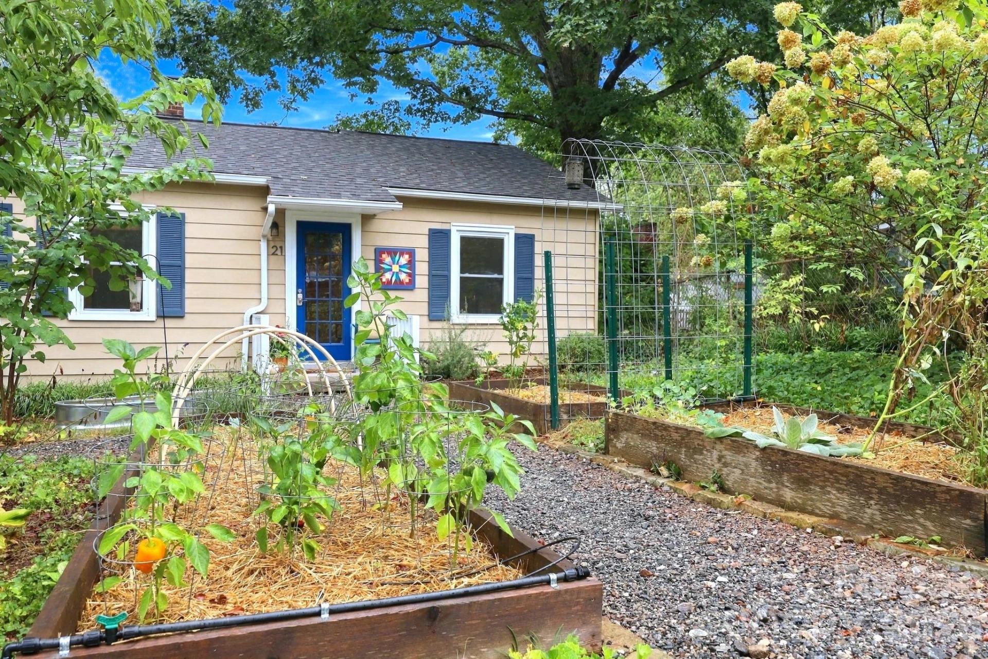 21 Balsam Avenue - Photo 4