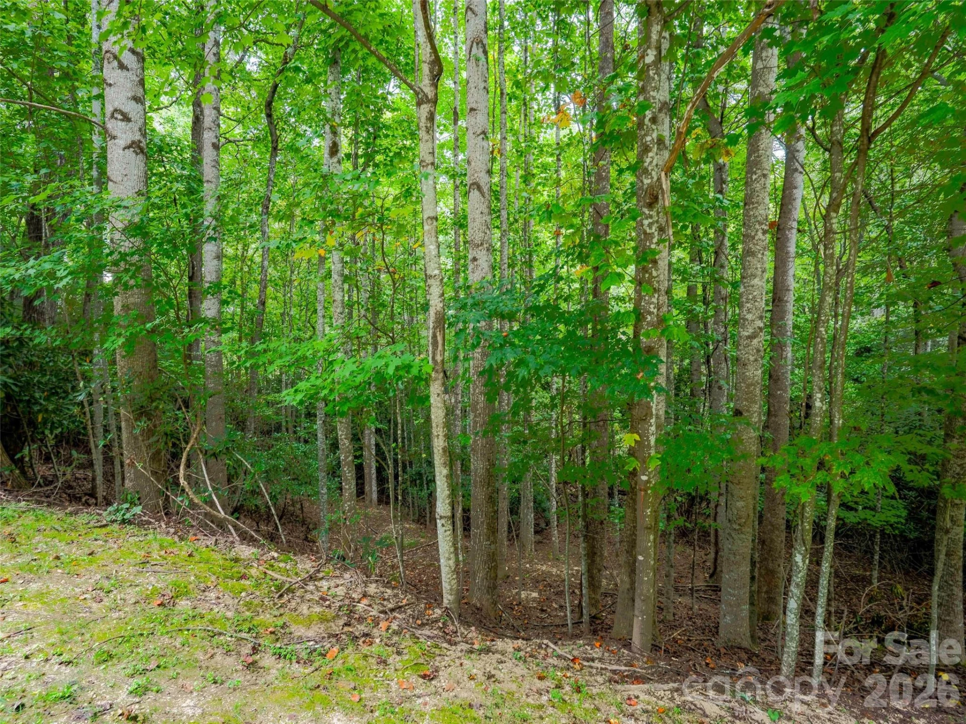 76 Old Hickory, Lot 152 Trail - Photo 8