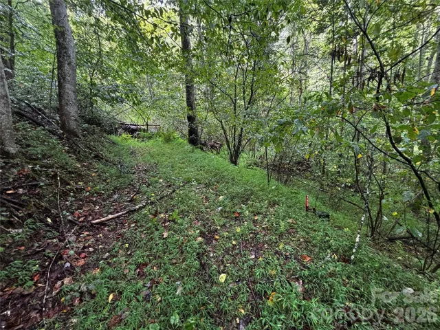 TBD Big Pine Road, Marshall, NC, 28753