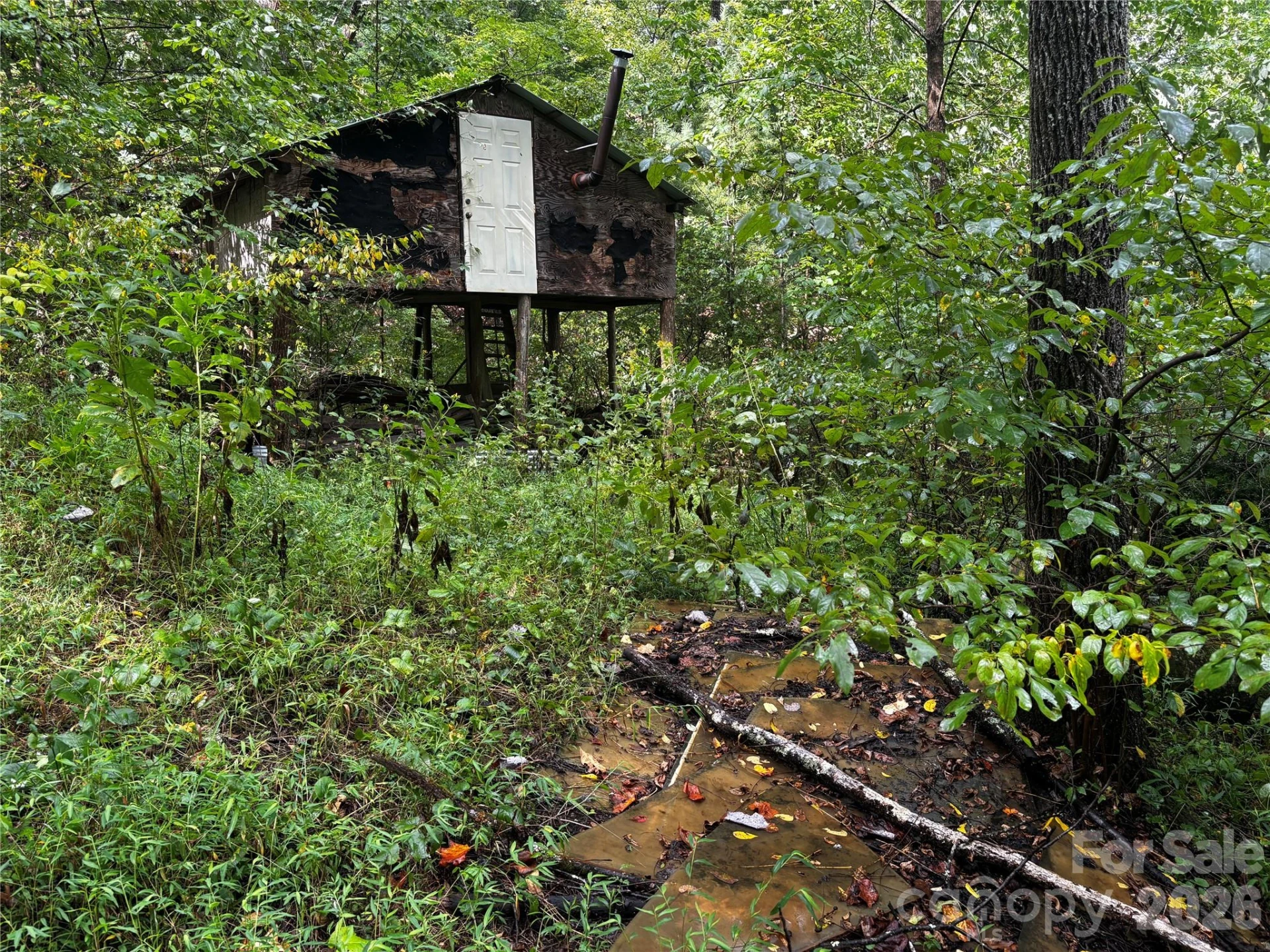 TBD Big Pine Road - Photo 2