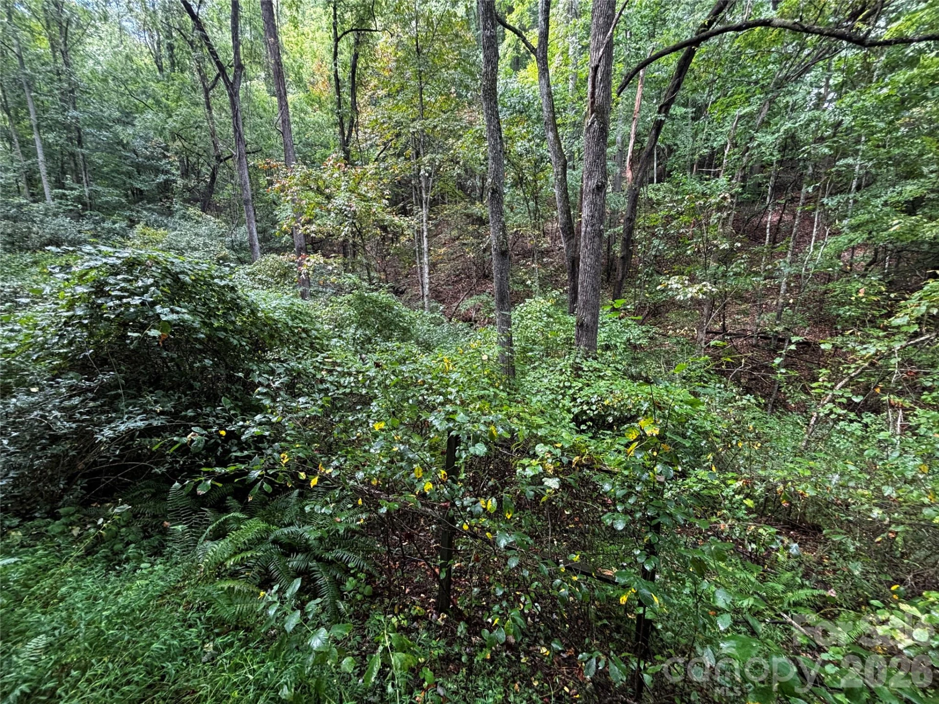 TBD Big Pine Road - Photo 3