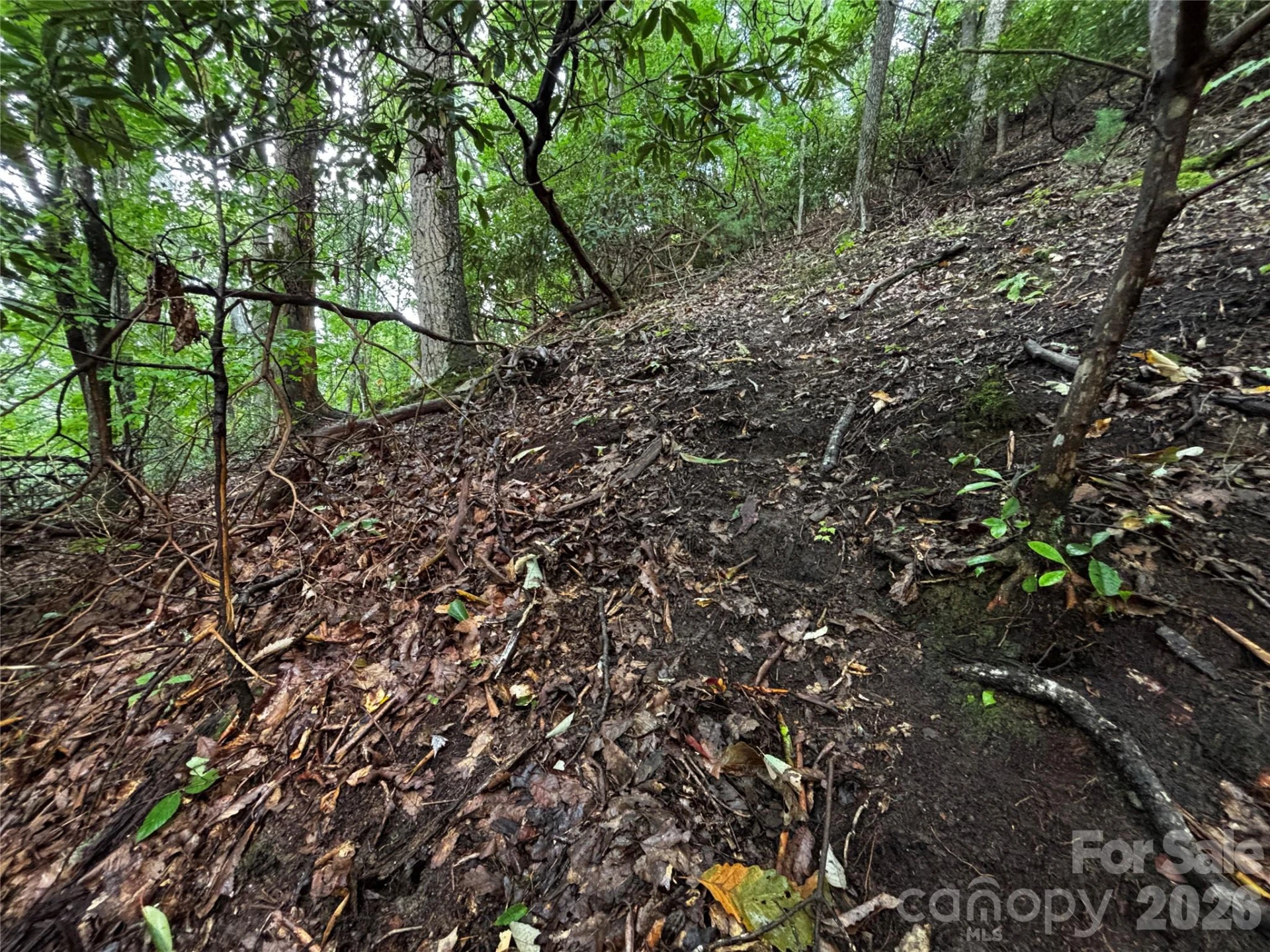 TBD Big Pine Road - Photo 10