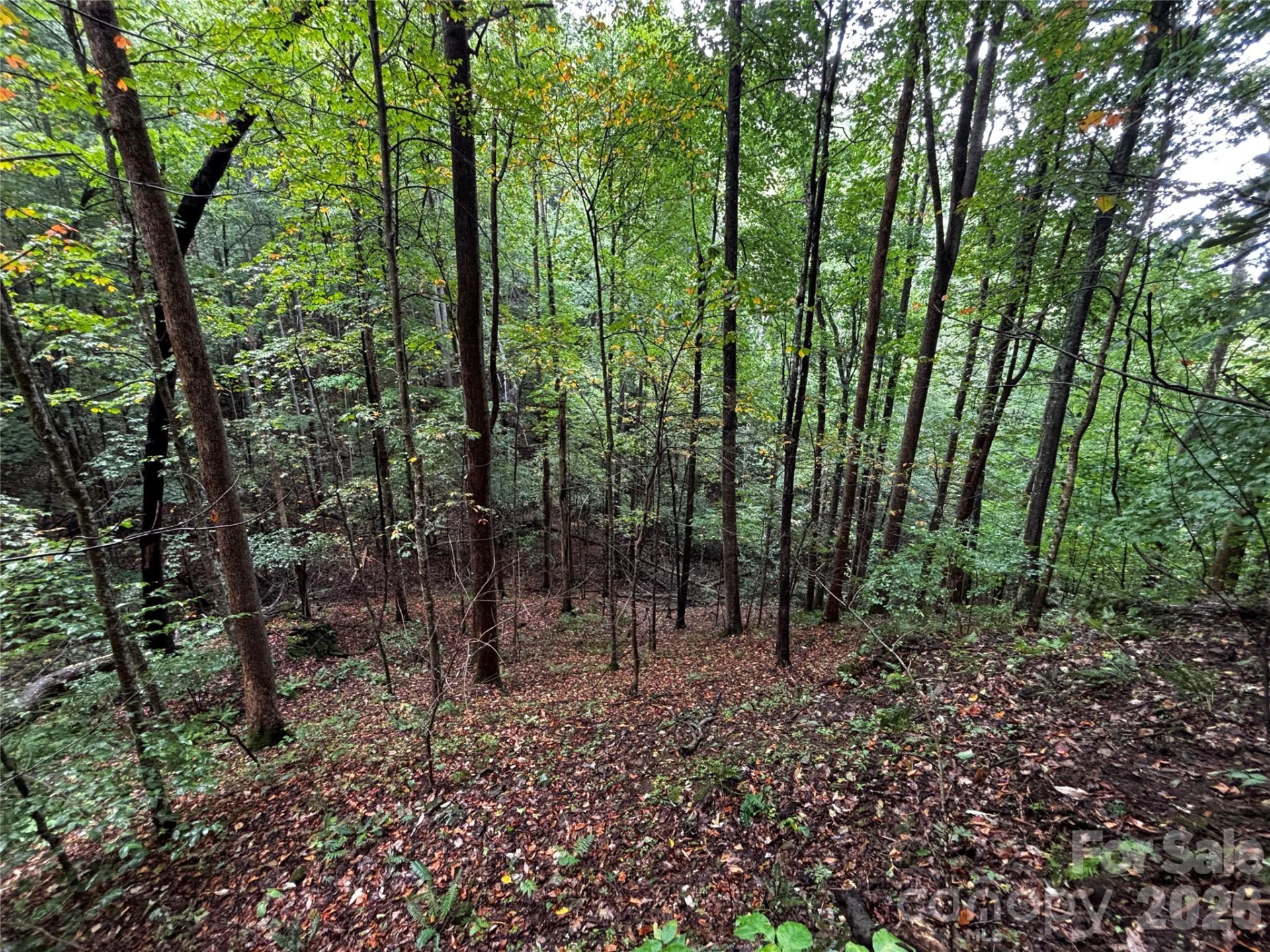 TBD Big Pine Road - Photo 11